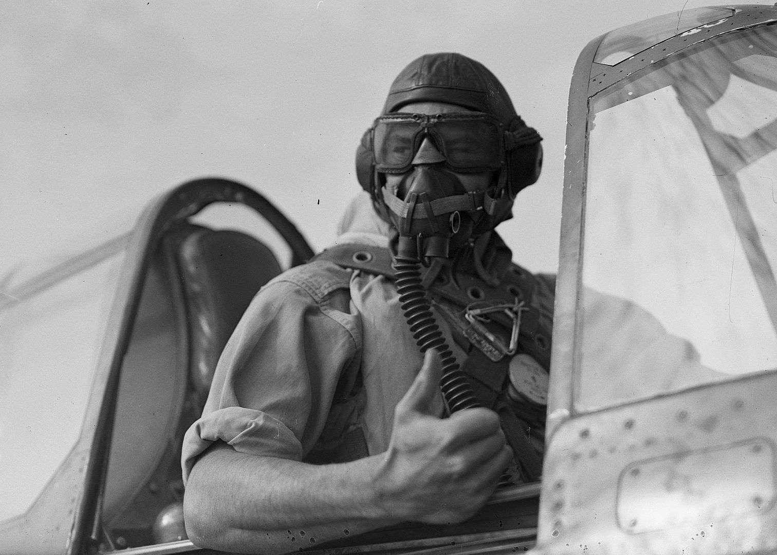 Kiwi Kittyhawk 50 Kiwi Kittyhawk 50