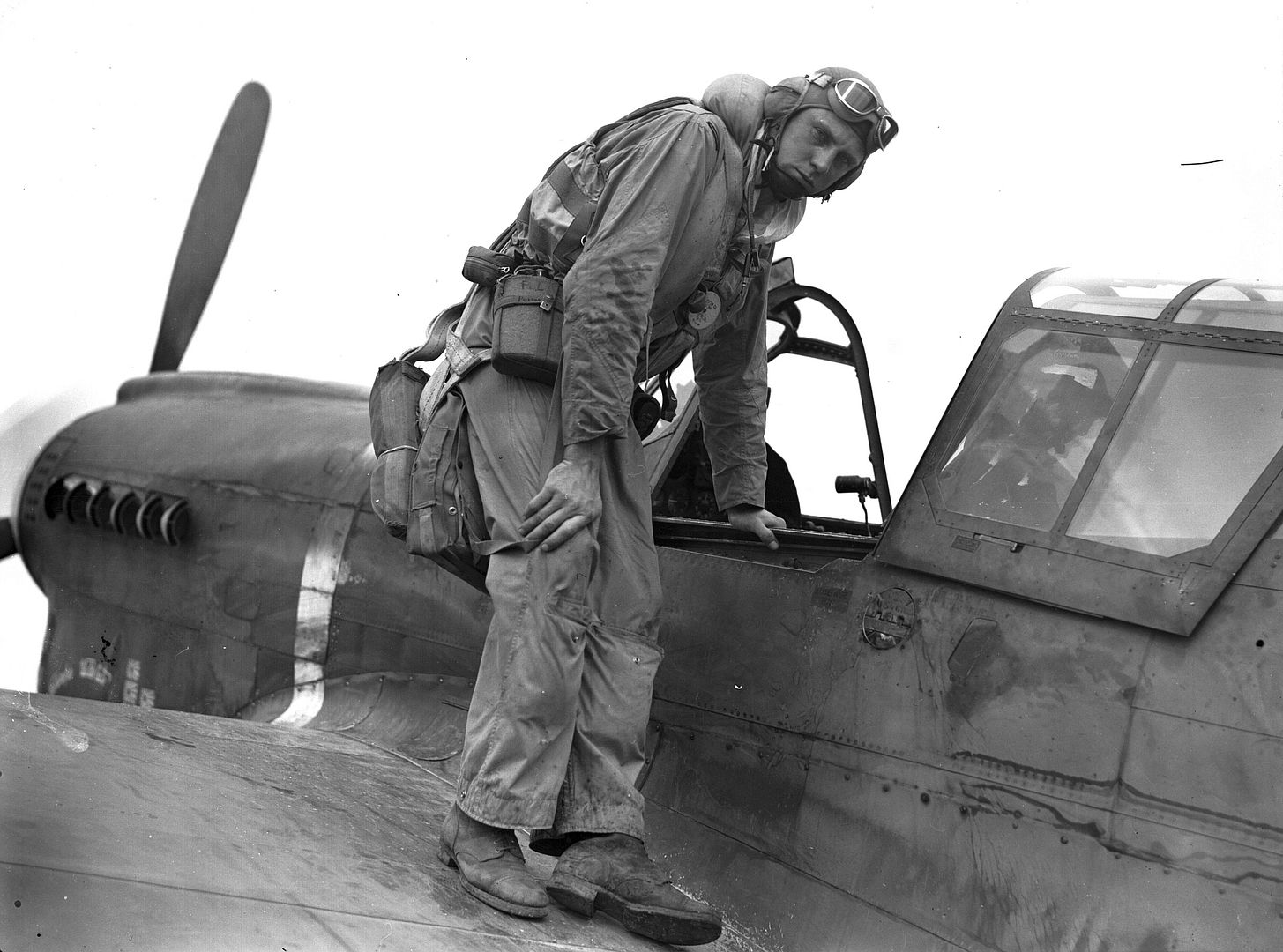 Kiwi Kittyhawk 59 Kiwi Kittyhawk 59