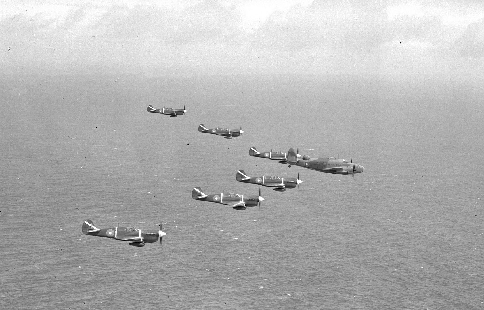 Kiwi Kittyhawk 6 Kiwi Kittyhawk 6