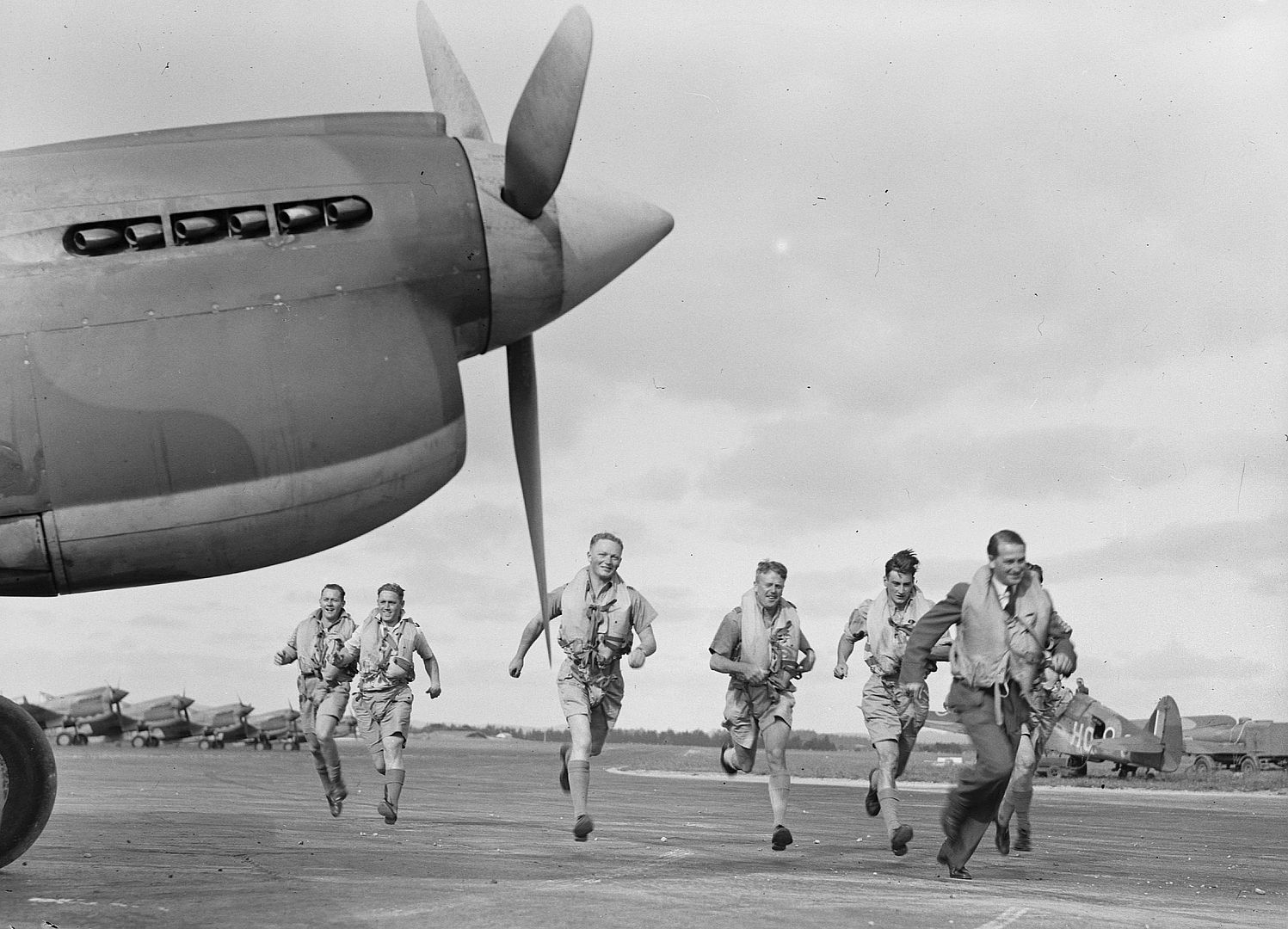 Kiwi Kittyhawk 60 Kiwi Kittyhawk 60