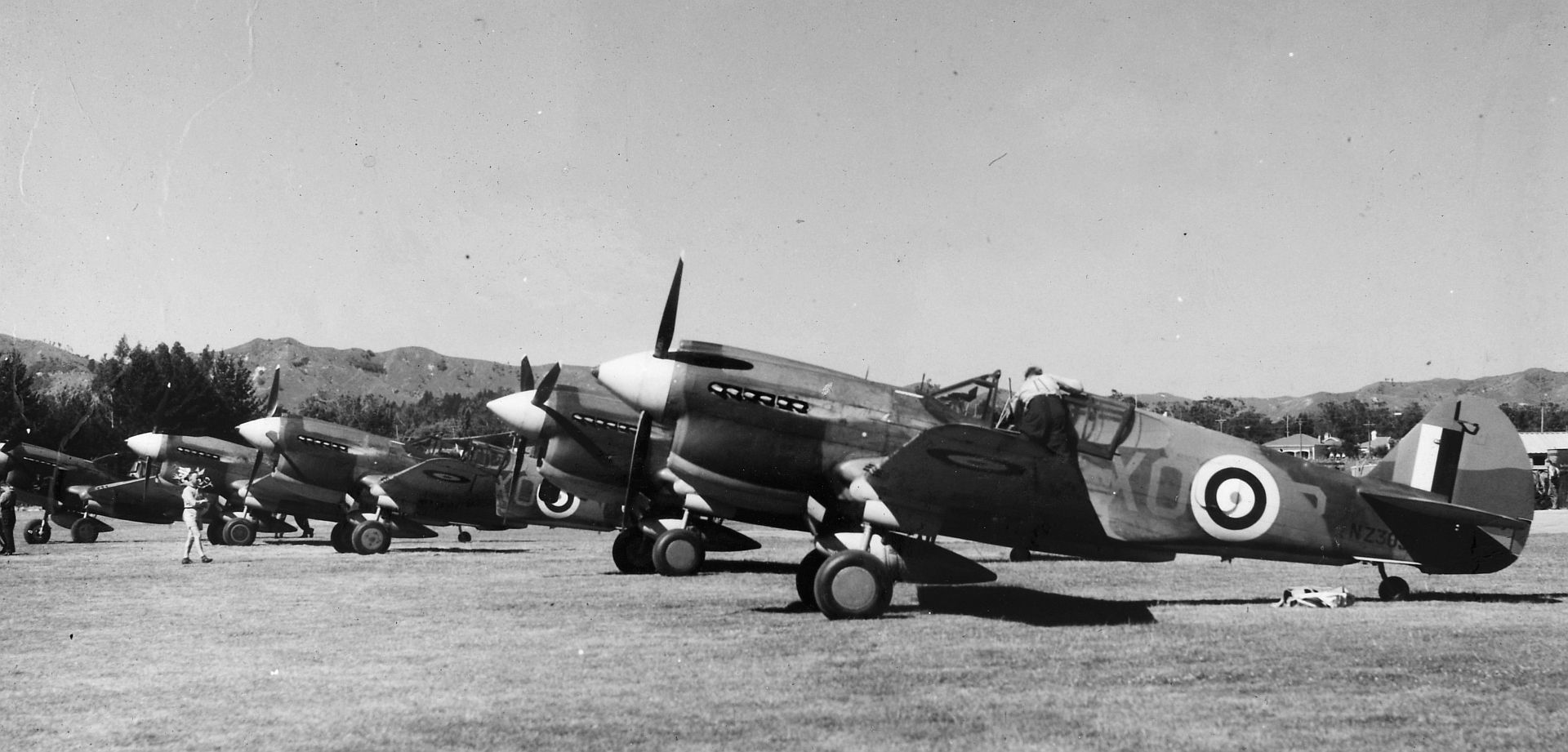 Kiwi Kittyhawk 61 Kiwi Kittyhawk 61