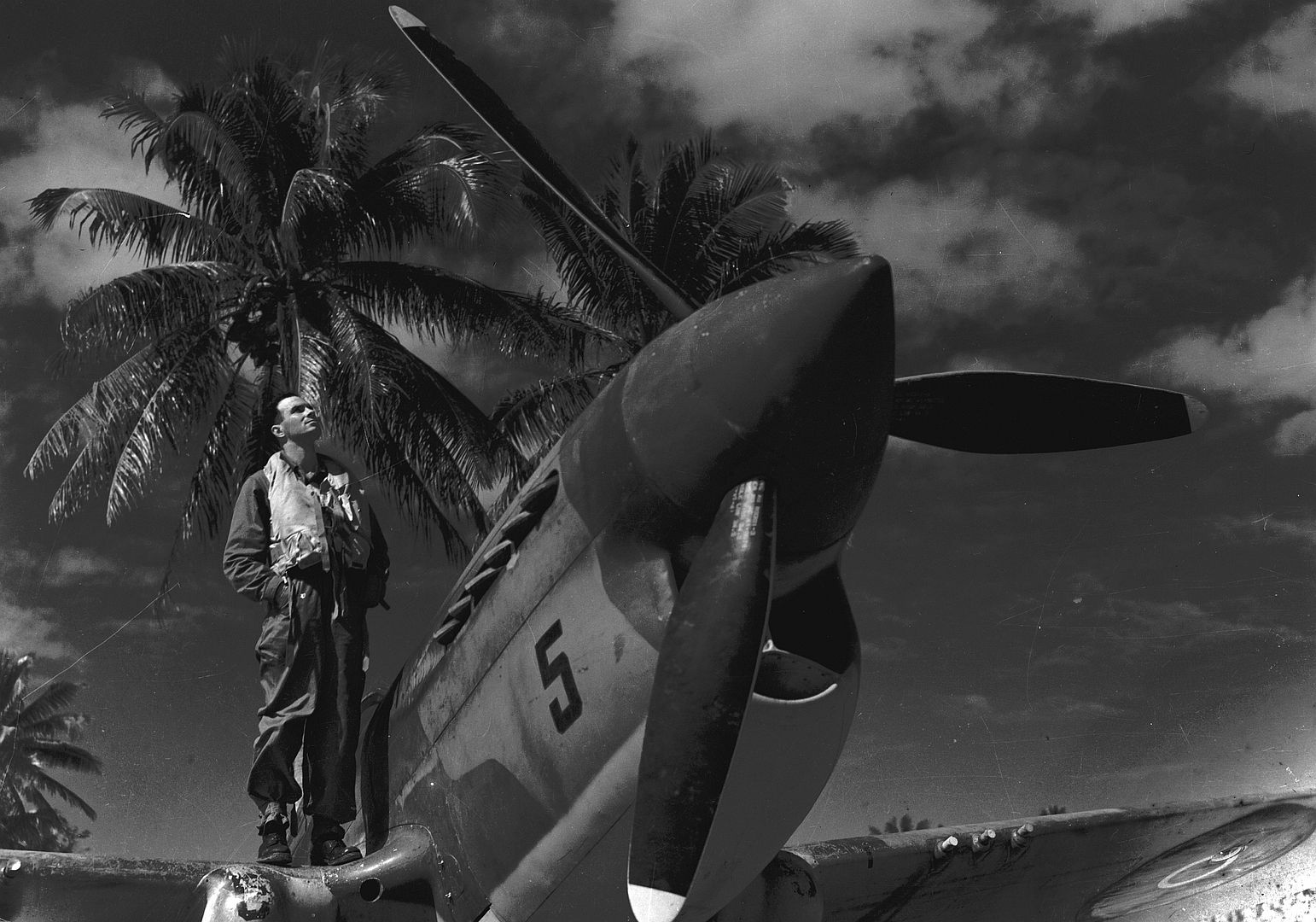 Kiwi Kittyhawk 62 Kiwi Kittyhawk 62