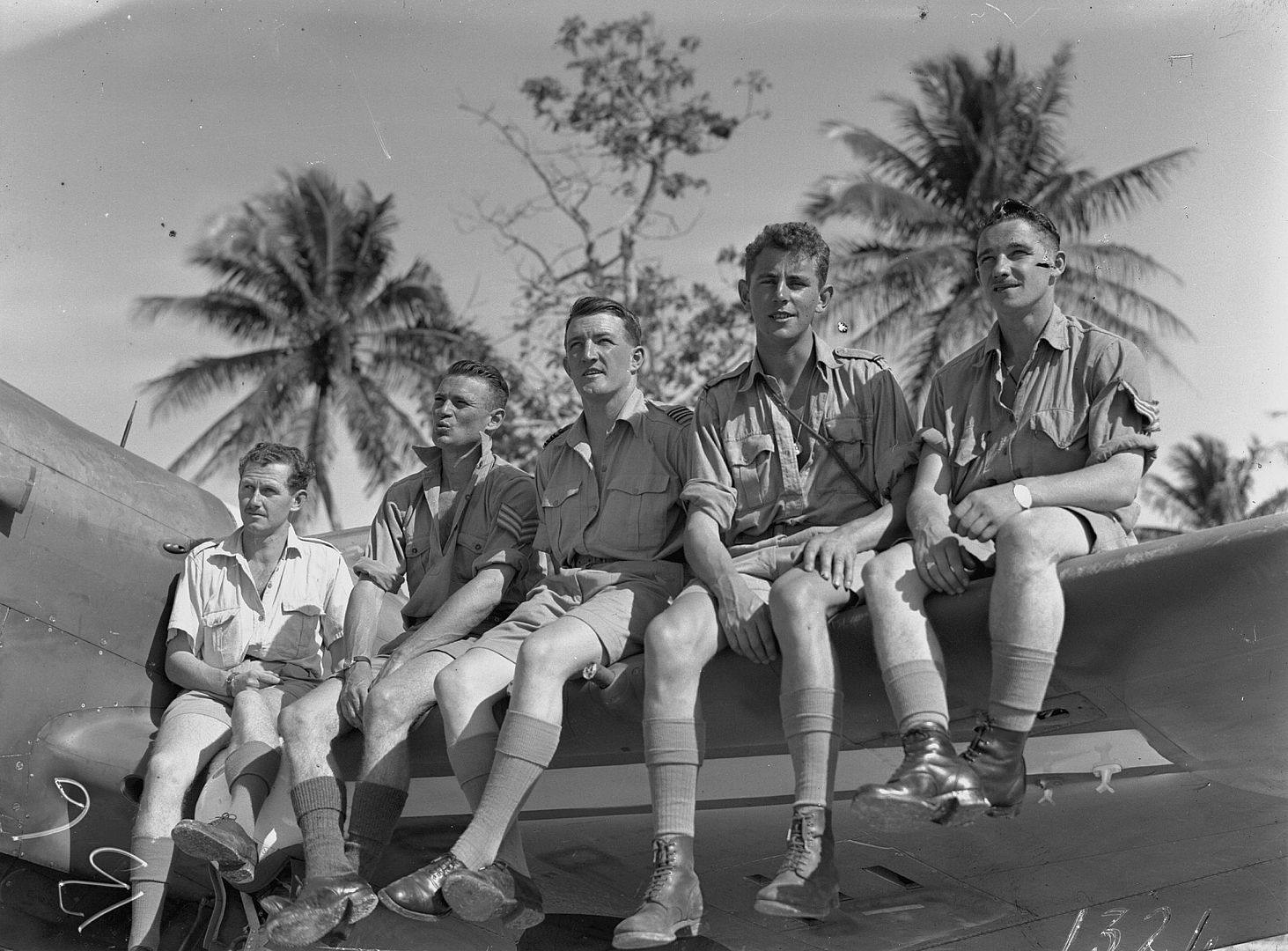 Kiwi Kittyhawk 63 Kiwi Kittyhawk 63