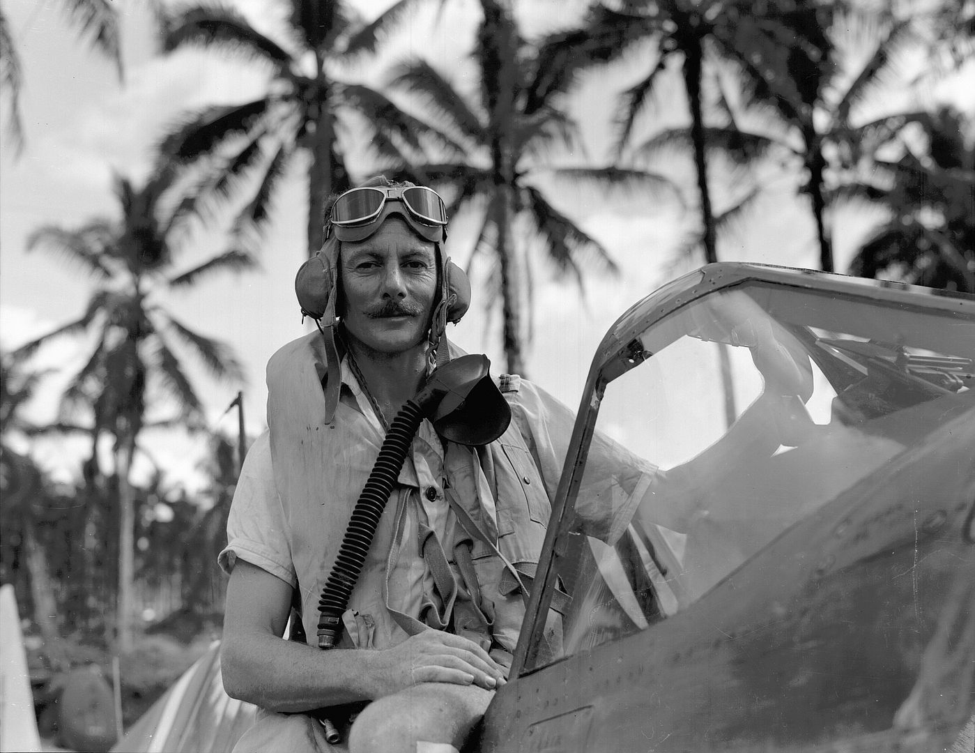 Kiwi Kittyhawk 66 Kiwi Kittyhawk 66