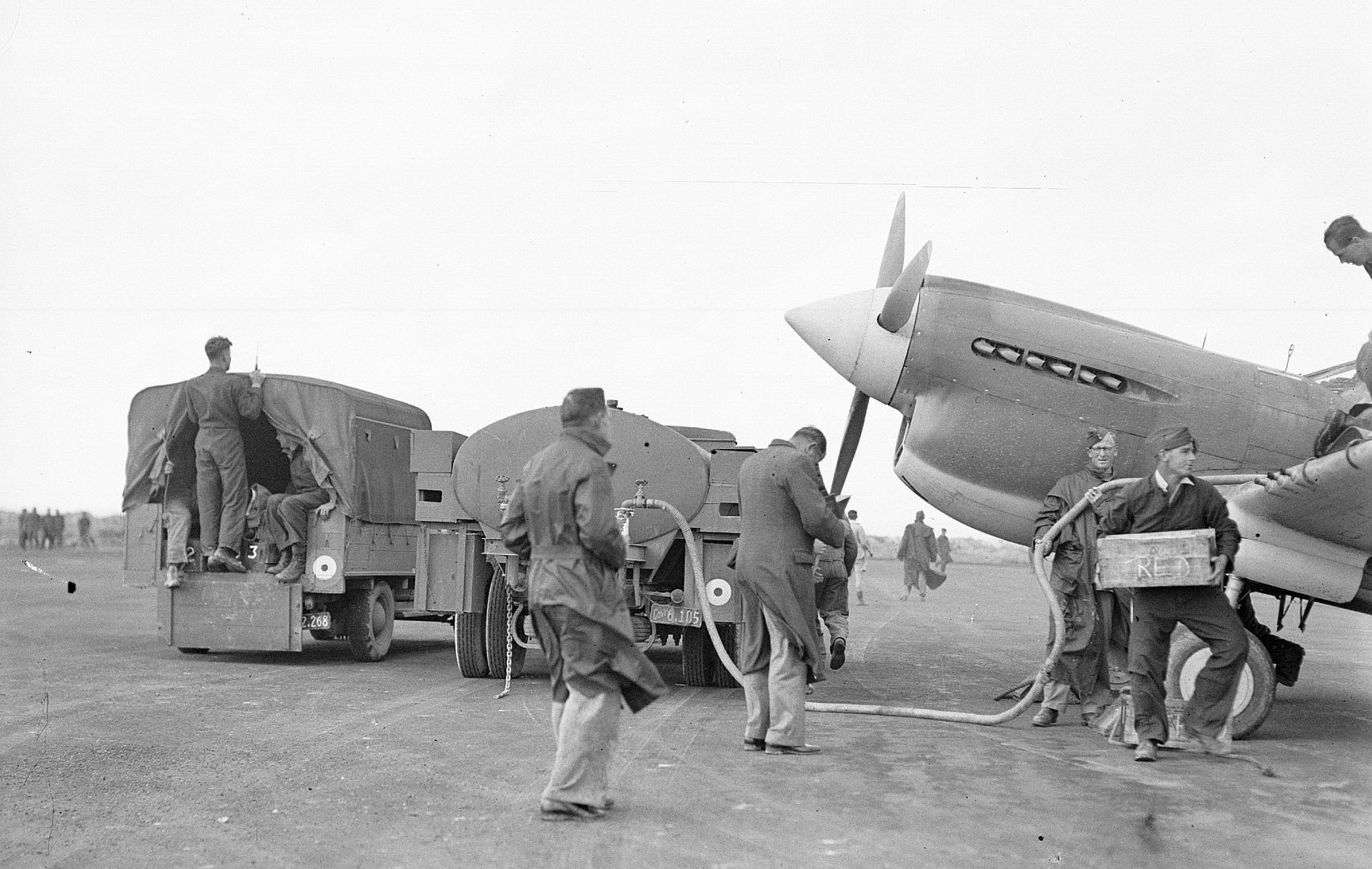 Kiwi Kittyhawk 74 Kiwi Kittyhawk 74