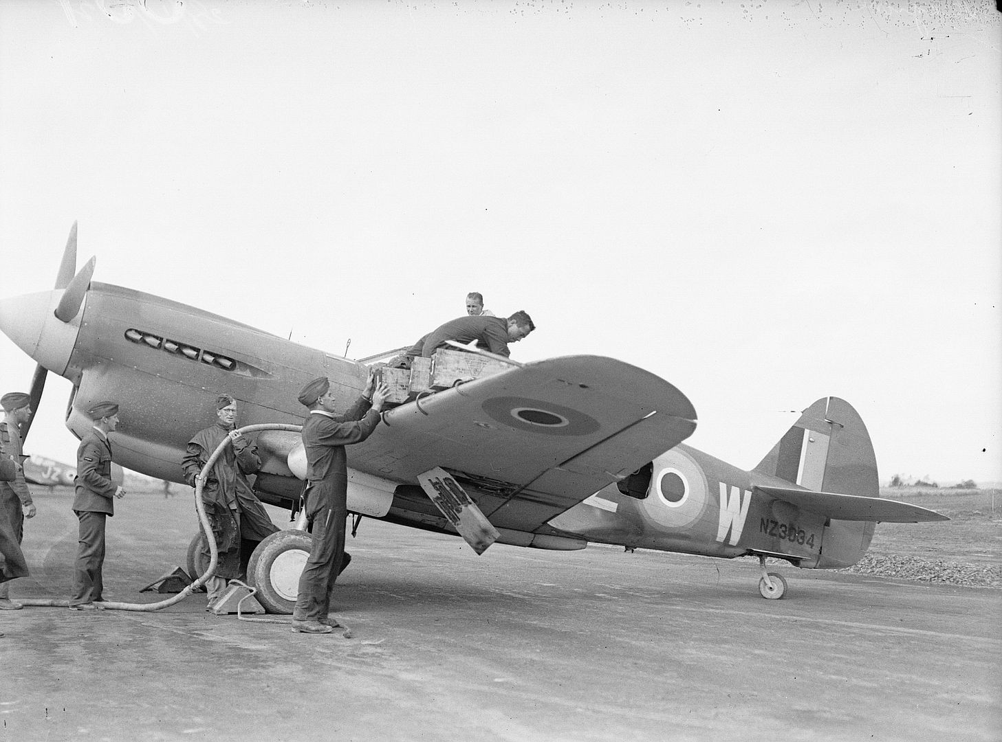 Kiwi Kittyhawk 75 Kiwi Kittyhawk 75