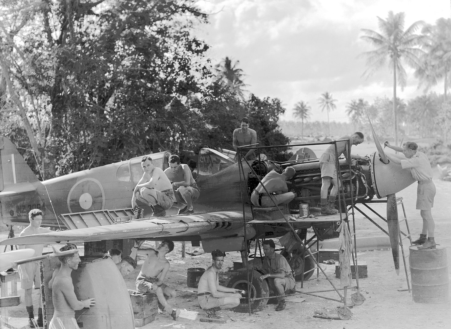 Kiwi Kittyhawk 77 Kiwi Kittyhawk 77