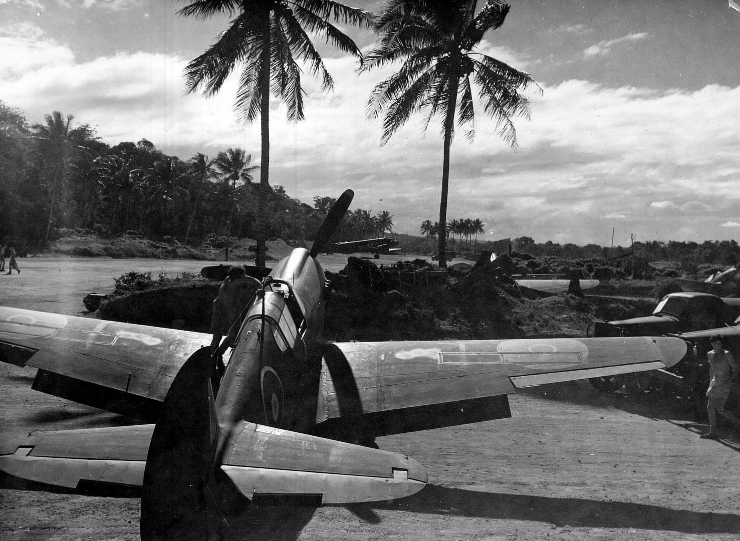 Kiwi Kittyhawk 78 Kiwi Kittyhawk 78