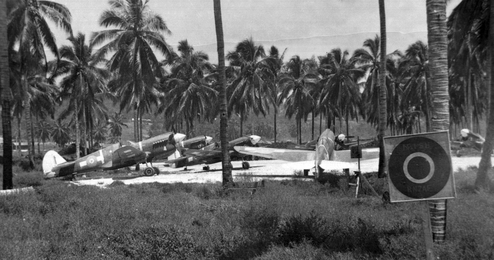 Kiwi Kittyhawk 81 Kiwi Kittyhawk 81