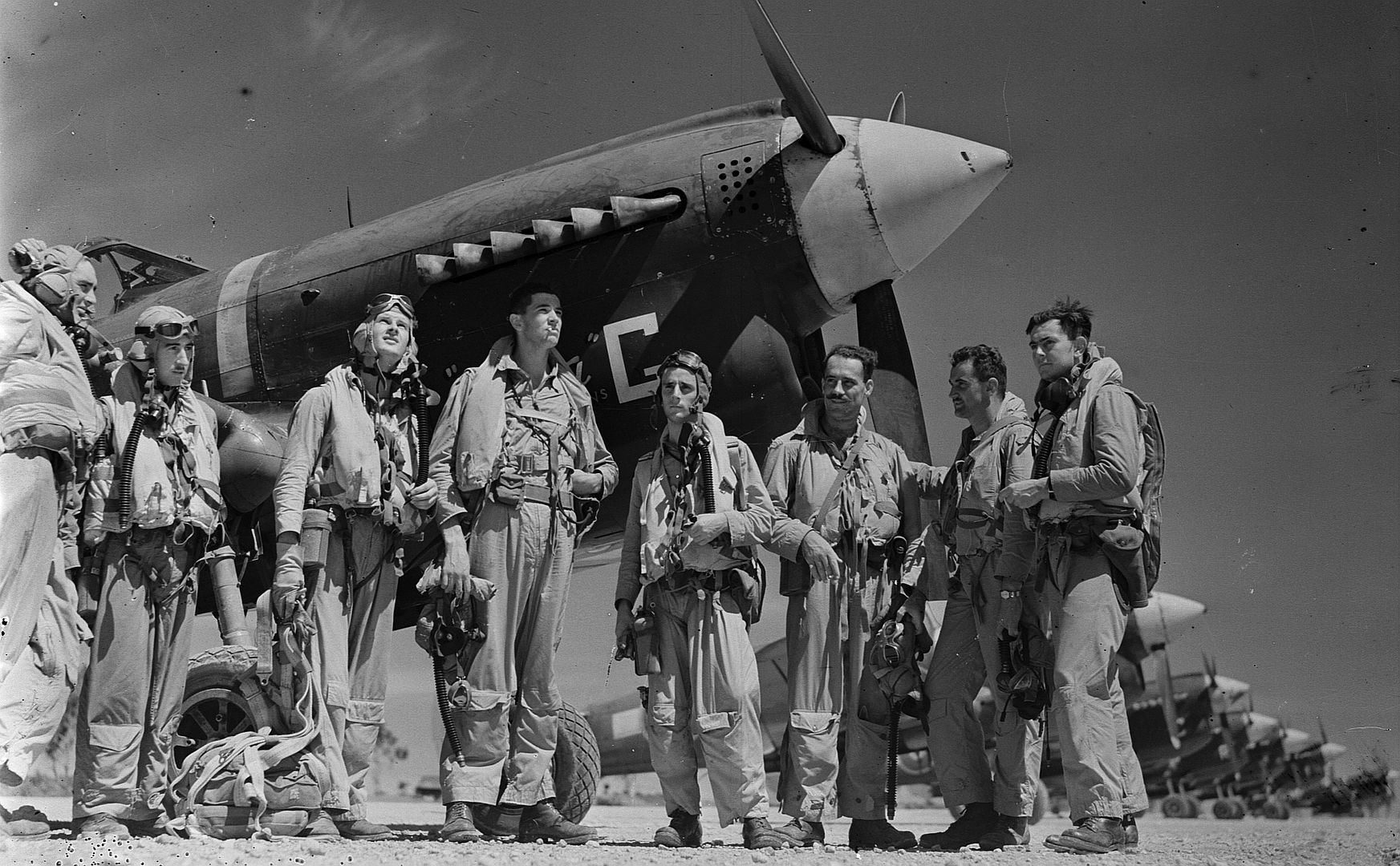 Kiwi Kittyhawk 83 Kiwi Kittyhawk 83