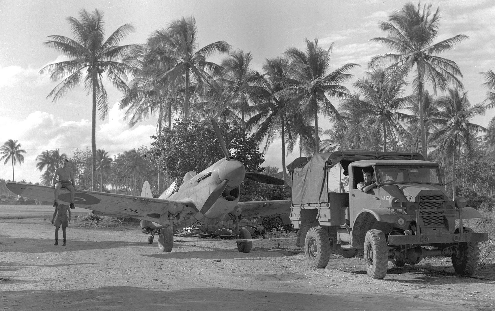 Kiwi Kittyhawk 84 Kiwi Kittyhawk 84