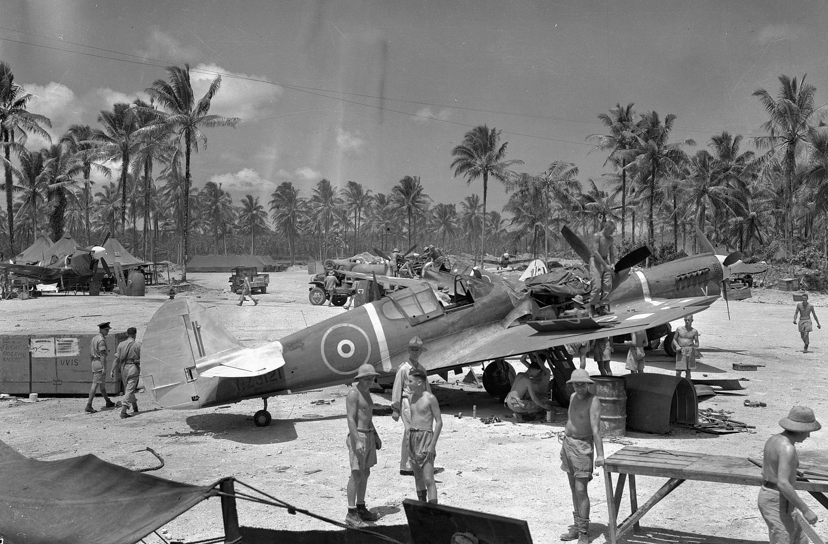 Kiwi Kittyhawk 87 Kiwi Kittyhawk 87