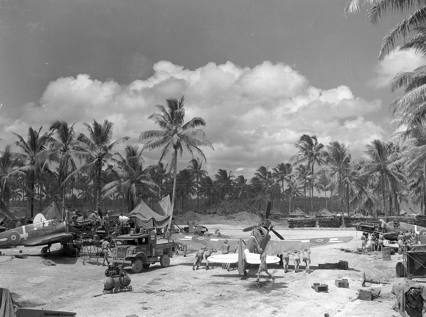 Kiwi Kittyhawk 88 Kiwi Kittyhawk 88