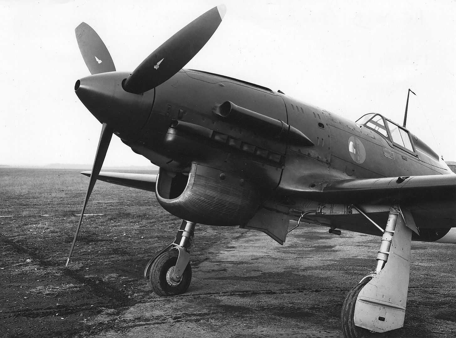 202D Serie III MM 7768 202D Serie III MM 7768