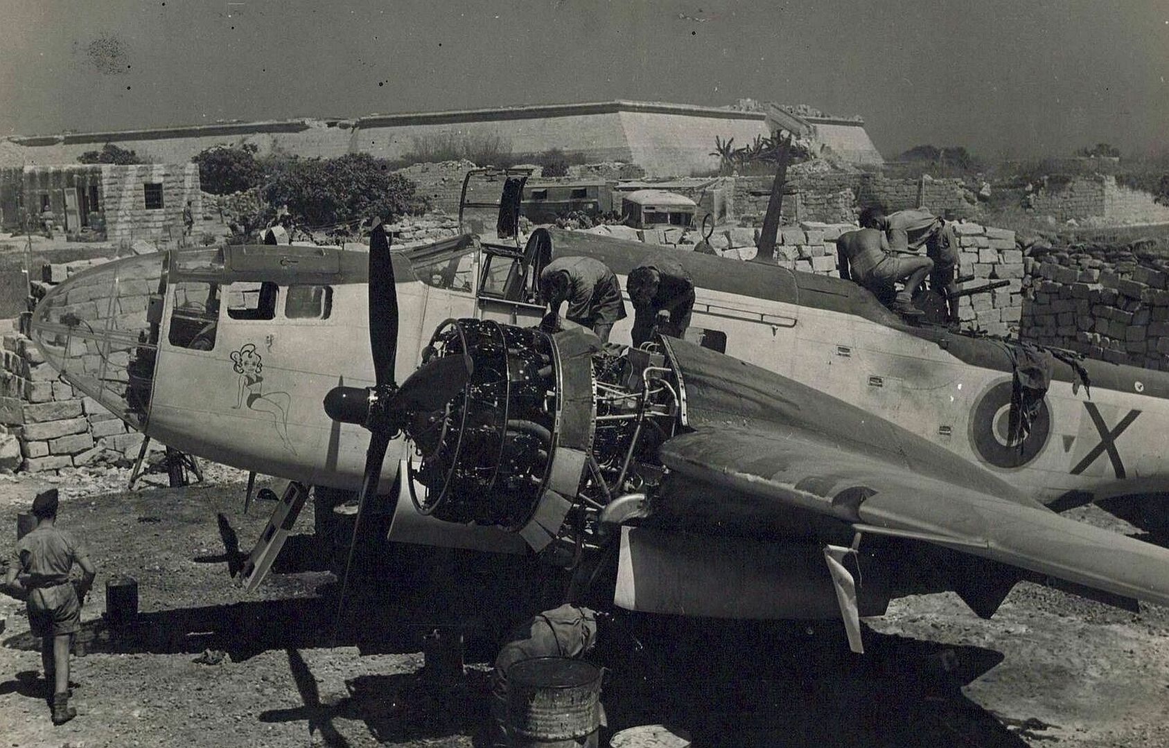 Martin Baltimore Malta Martin Baltimore Malta