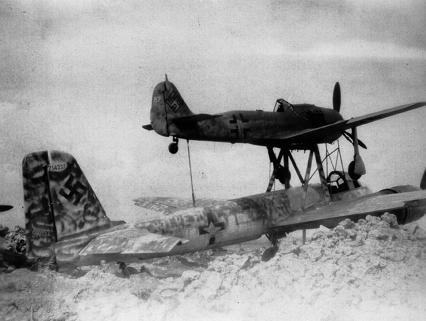 Mistel Russian Mistel Russian