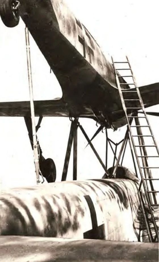 Mistel Ladder Mistel Ladder