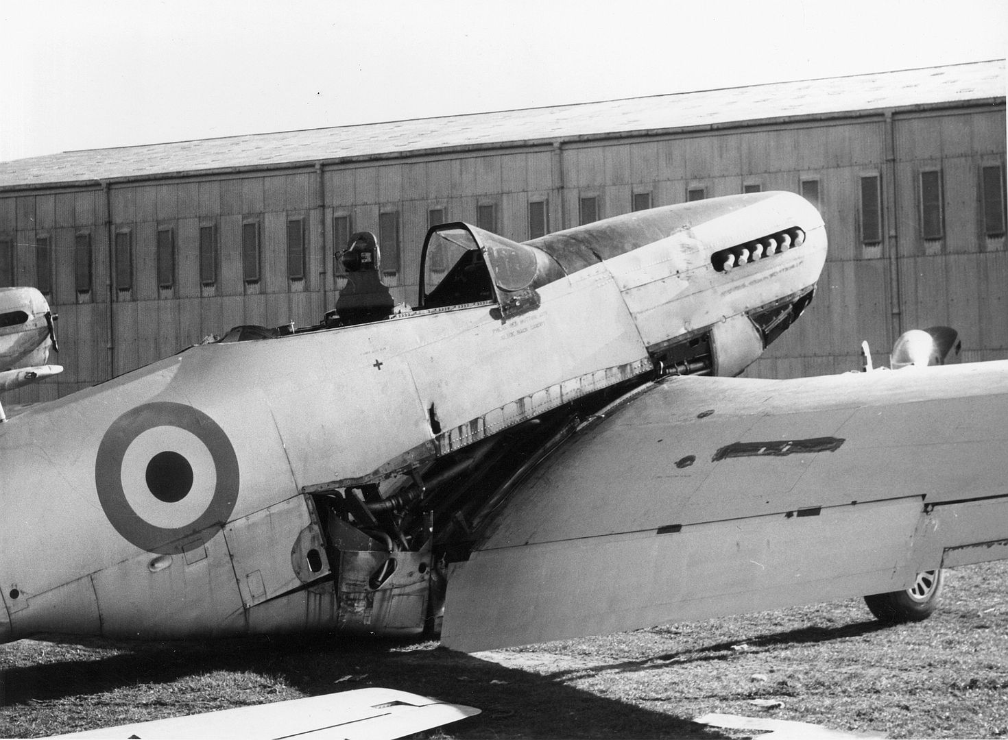 Mustang During Dismantling Mustang During Dismantling