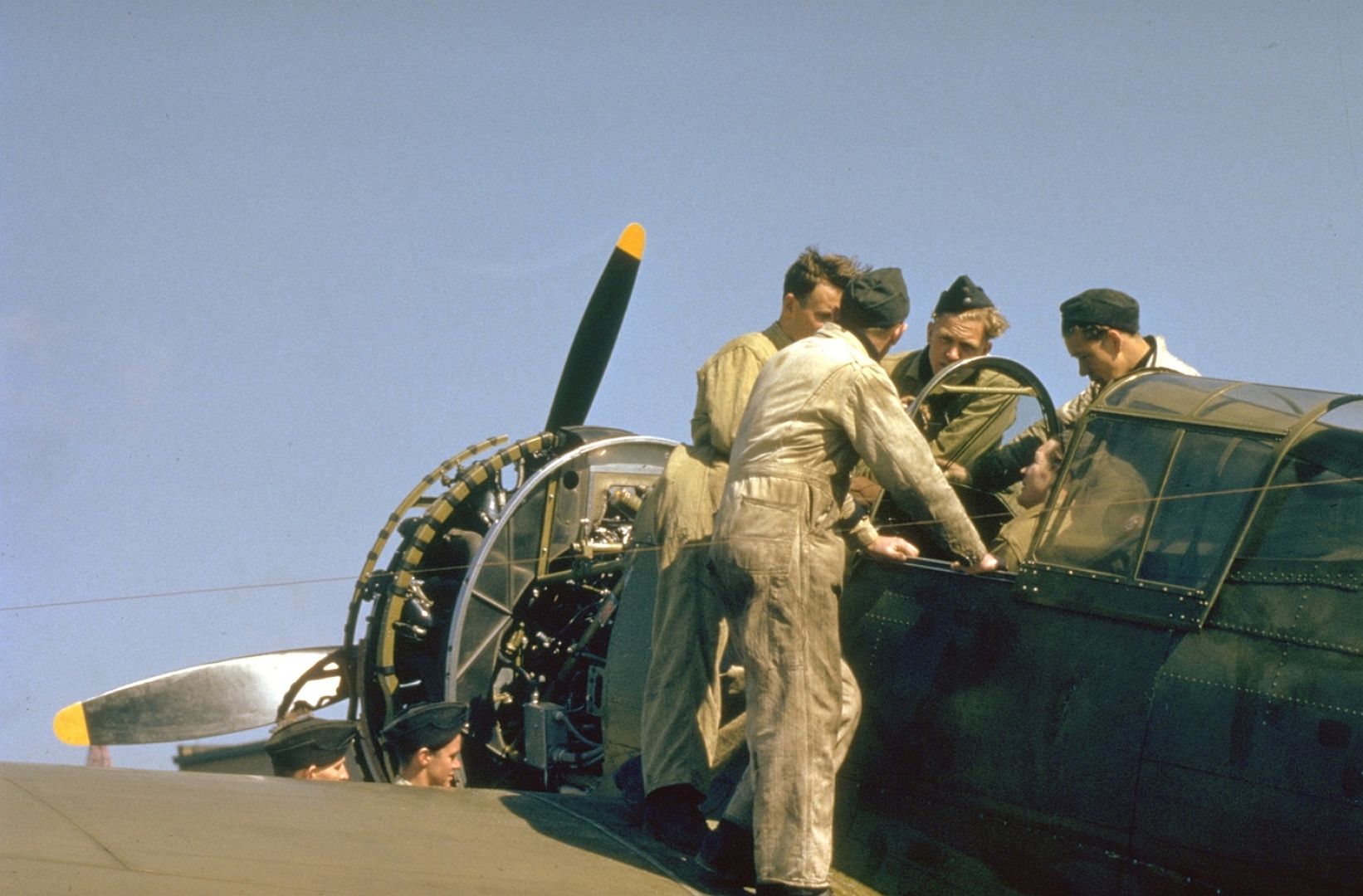 P 36 Hawk Little Norway P 36 Hawk Little Norway