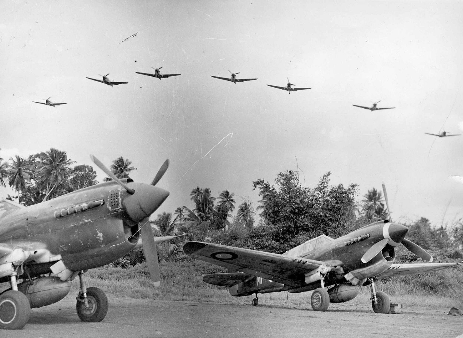  Kittyhawks At A Base In Papua New Guinea