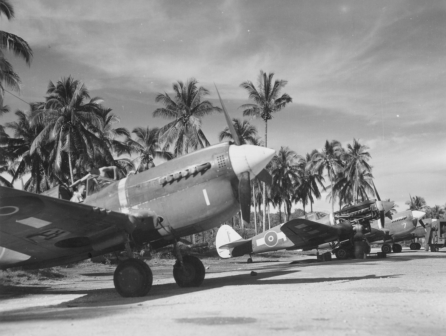 RNZAF Kittyhawks At Kukum Airfield Guadalcana