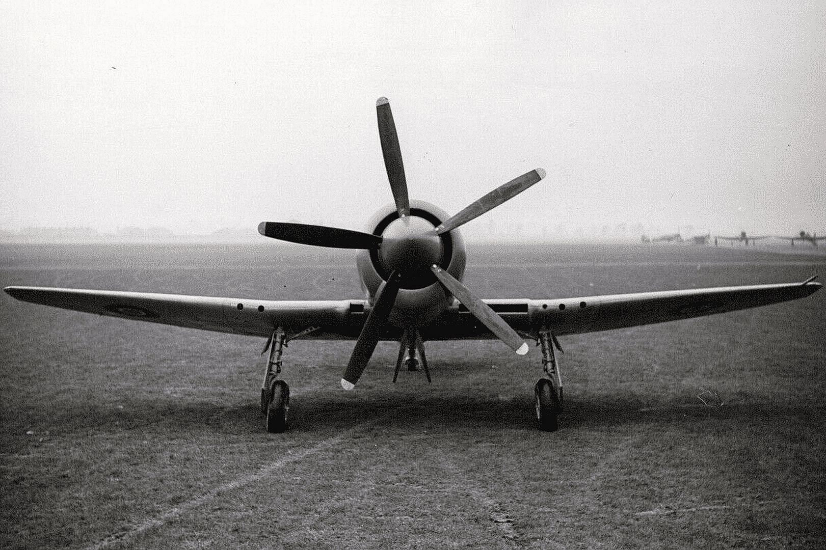 Sea Fury Front Sea Fury Front