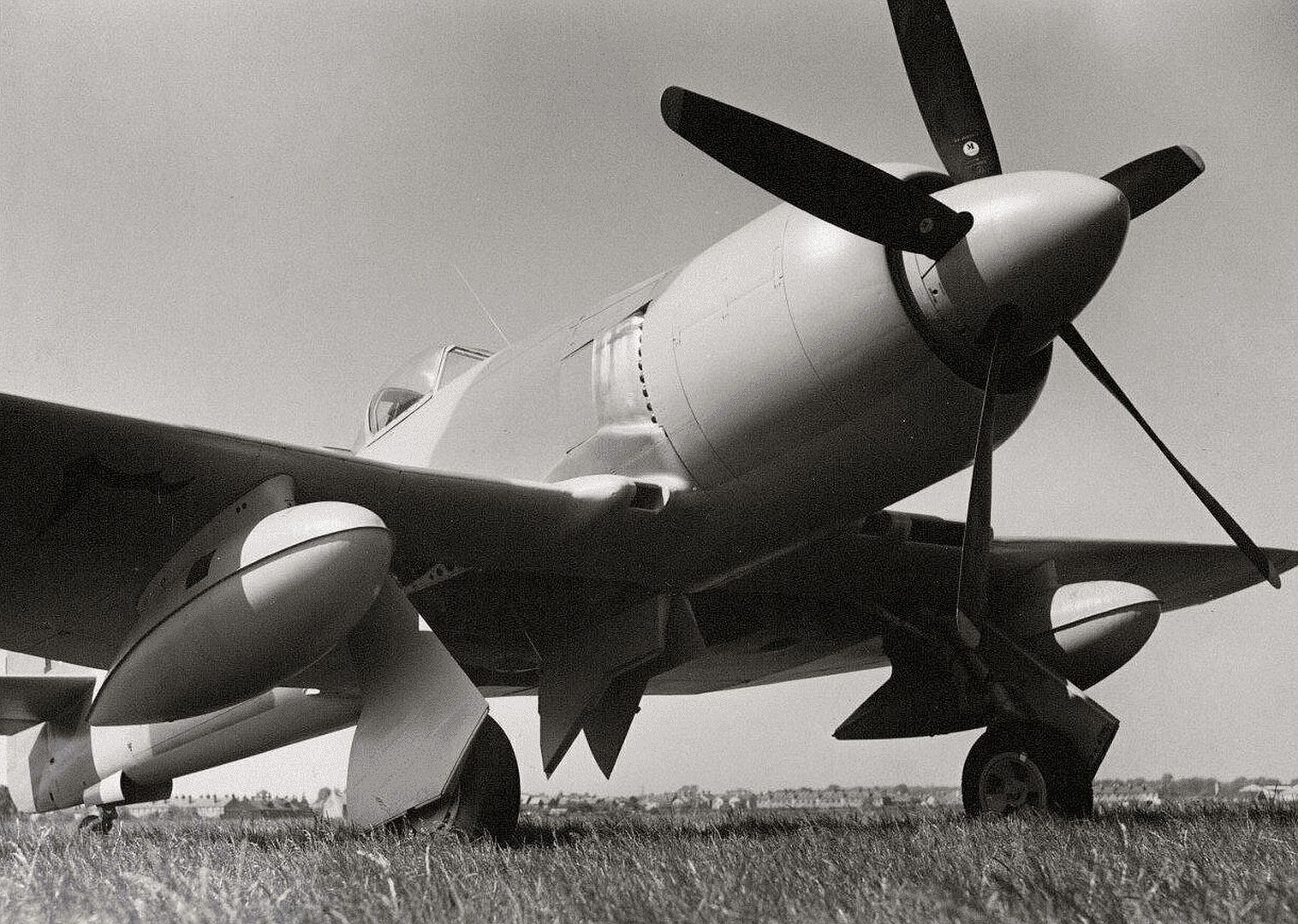 Sea Fury Iraqi Sea Fury Iraqi