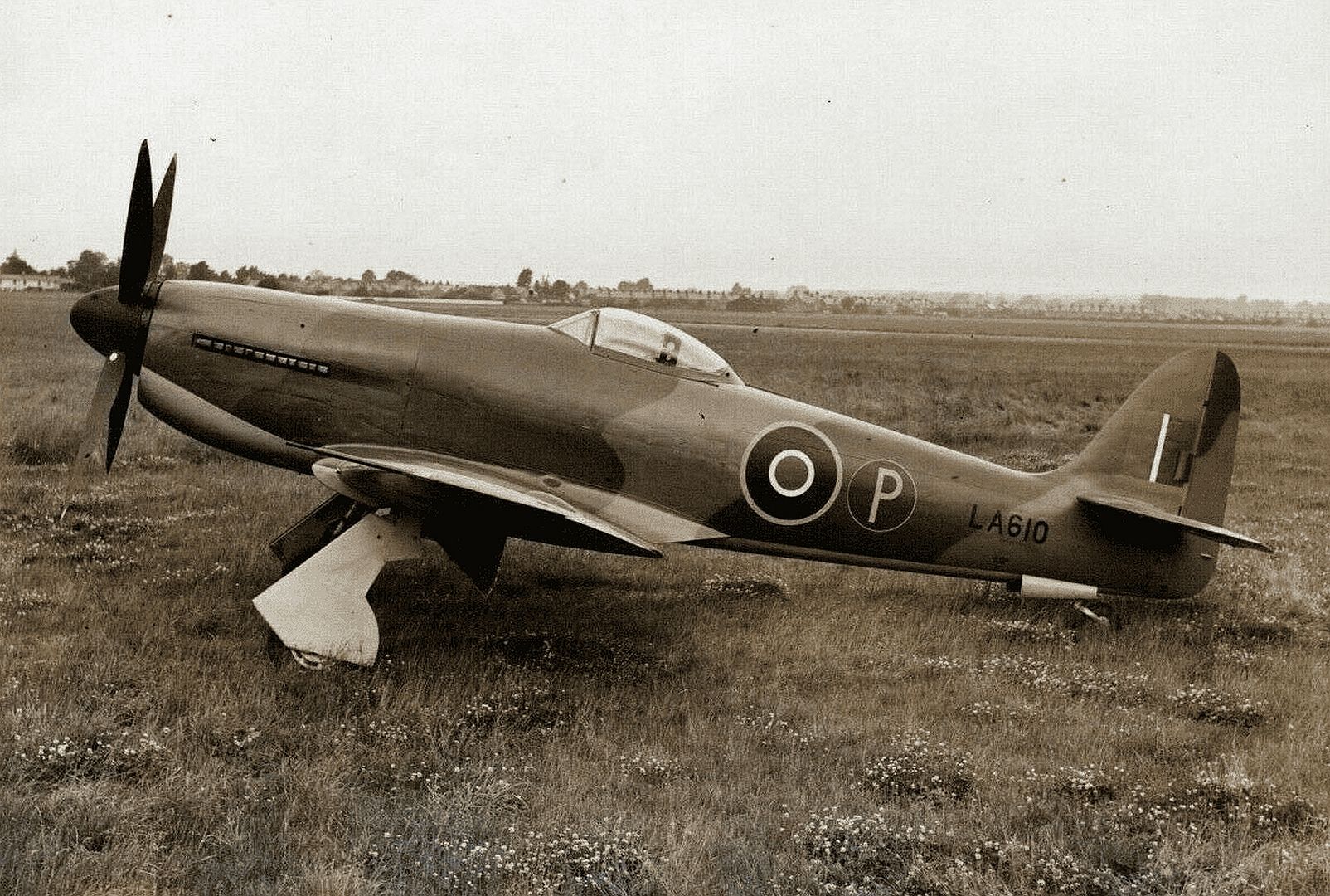 Sea Fury LA610 Sea Fury LA610