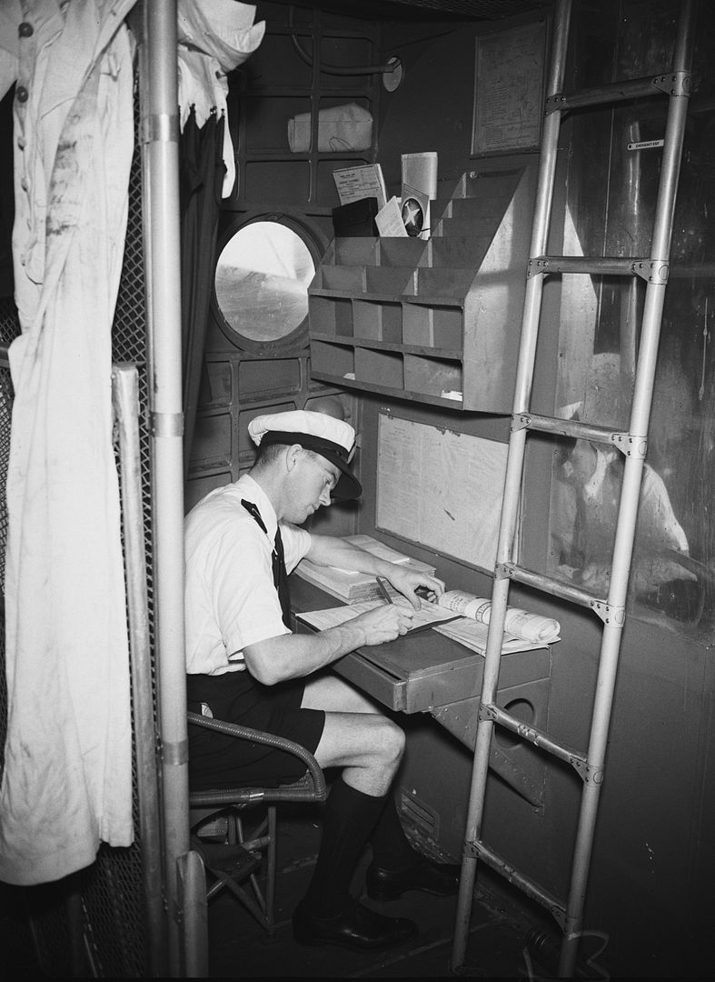 Short Empire Calypso Short Empire Calypso