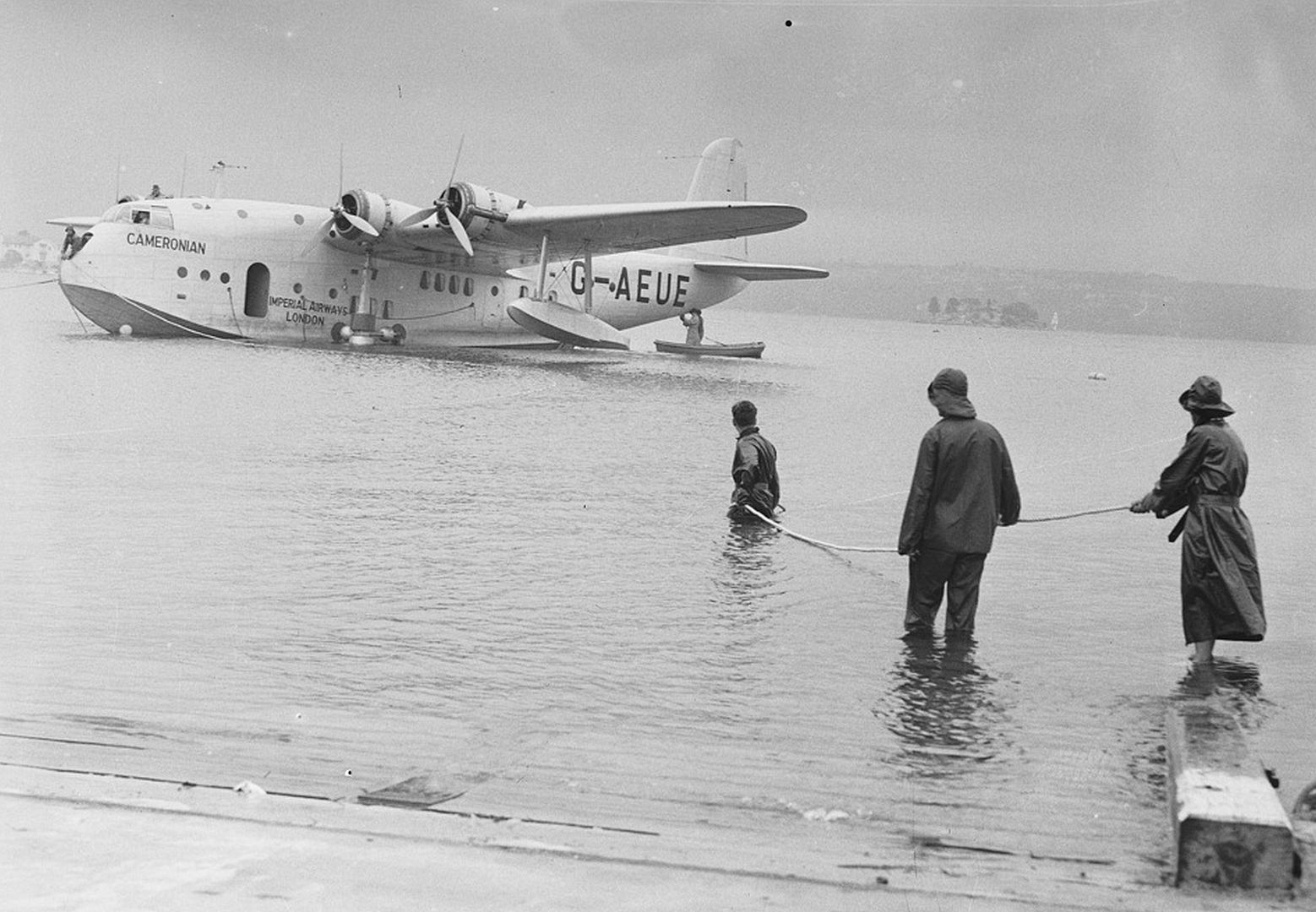 Short Empire Cameronion Short Empire Cameronion