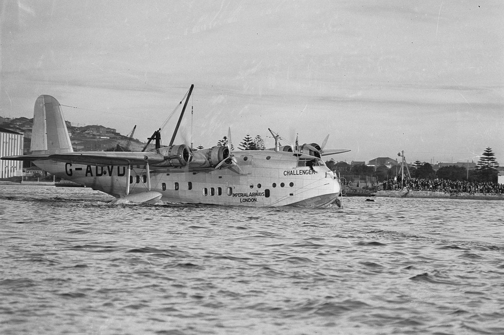 Short Empire Challenger Short Empire Challenger