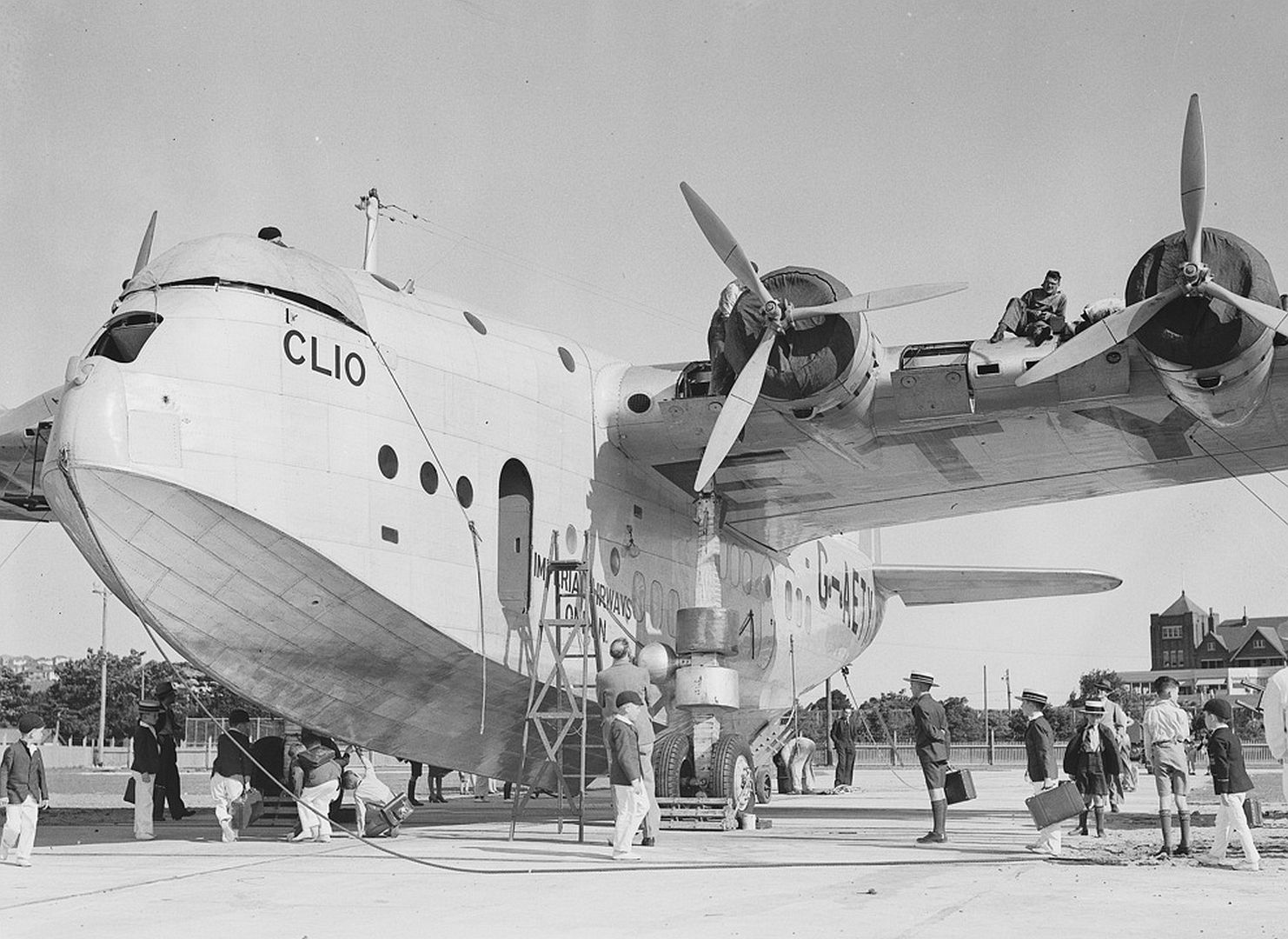 Short Empire Clio Short Empire Clio