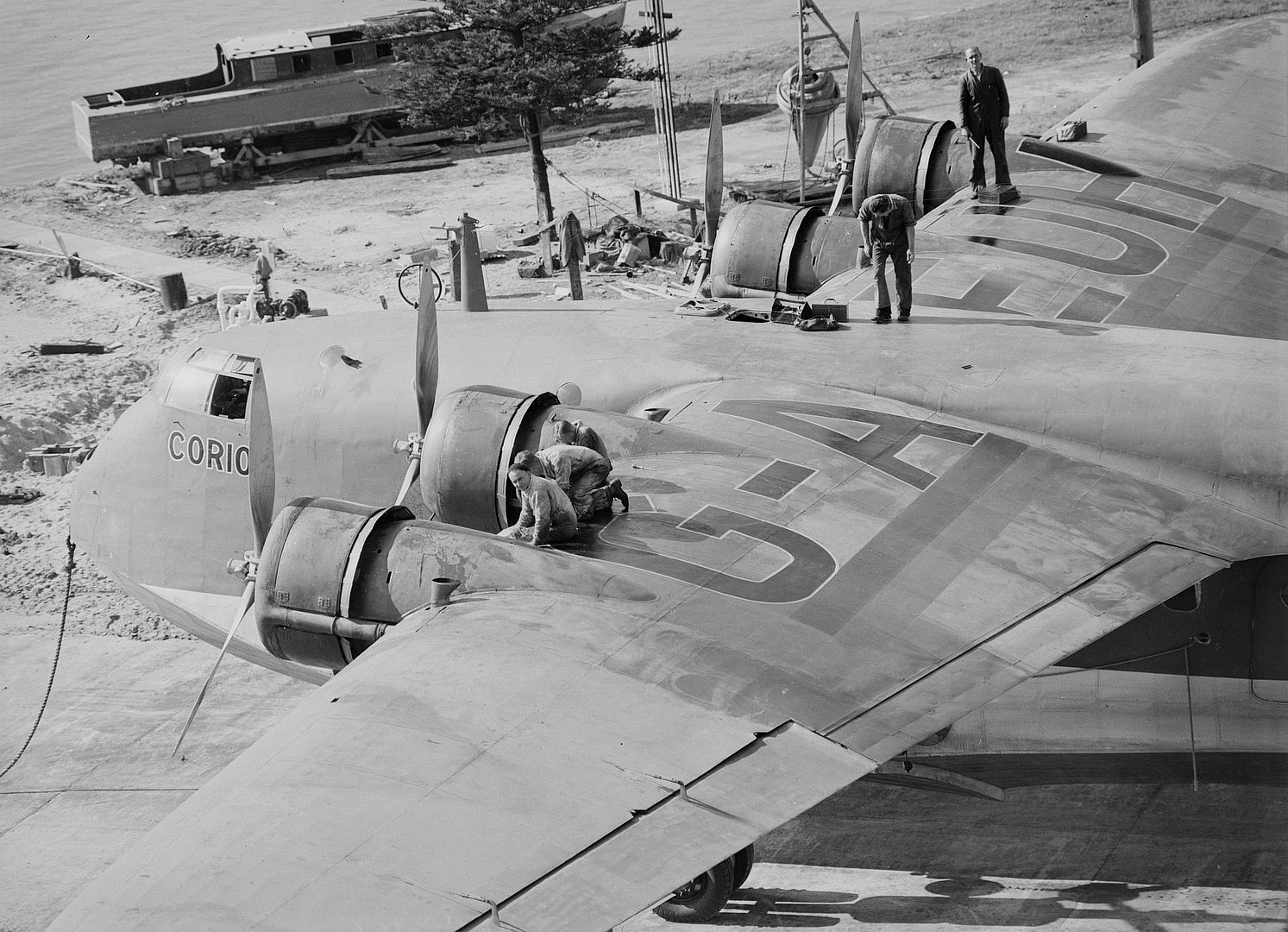 Short Empire Corio Short Empire Corio