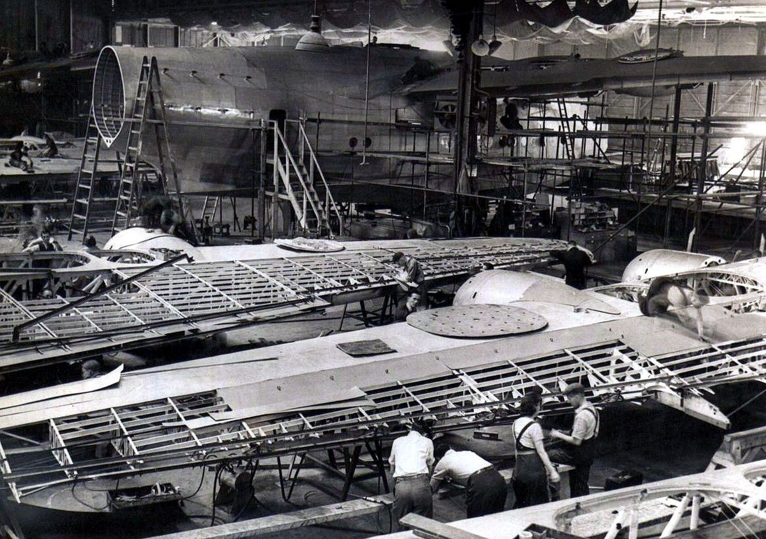 Short Shetland Short Shetland