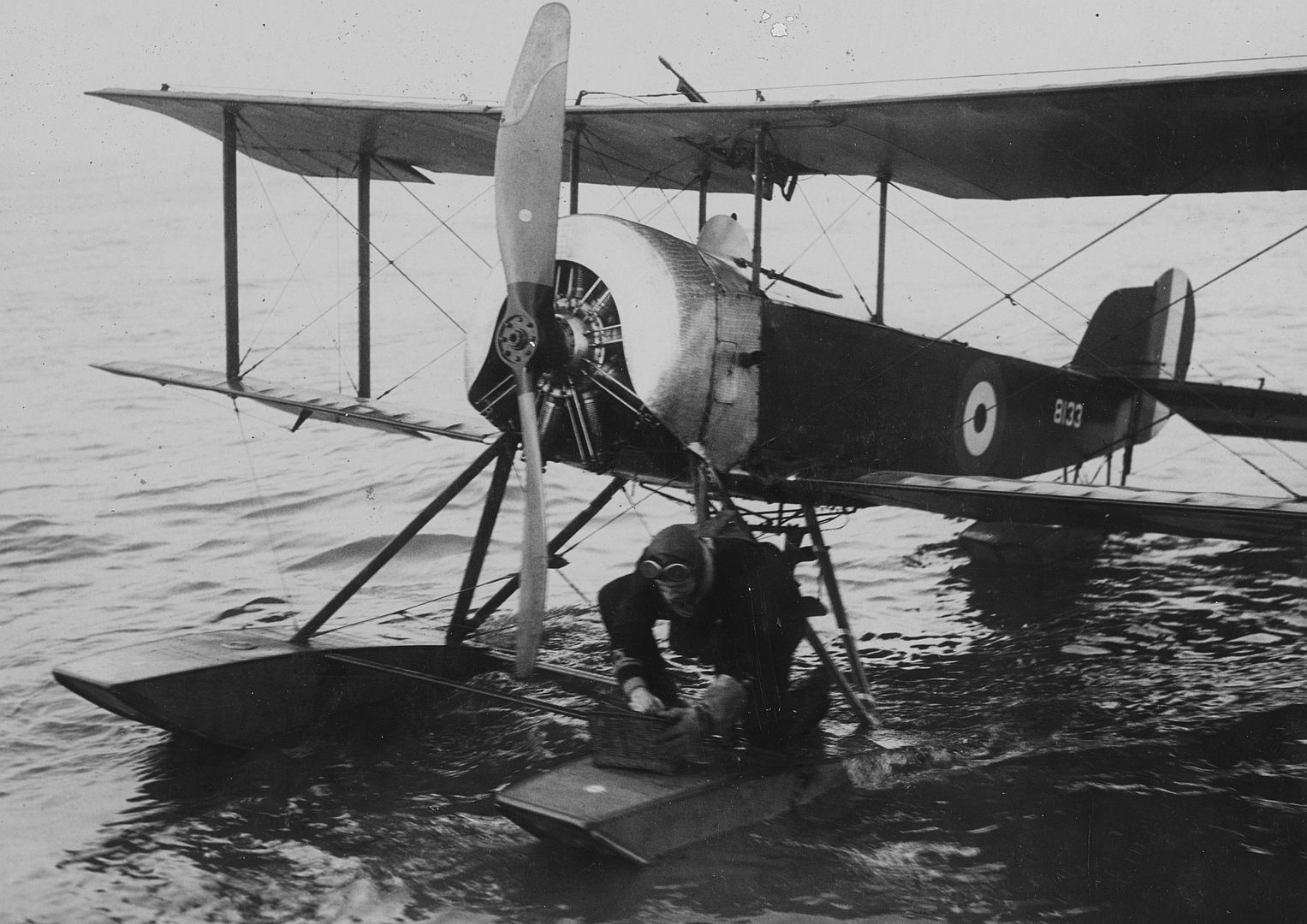 Sopwith Baby Pilot Of Seaplane Disabled Sending Message For Help By Carrier Pigeon
