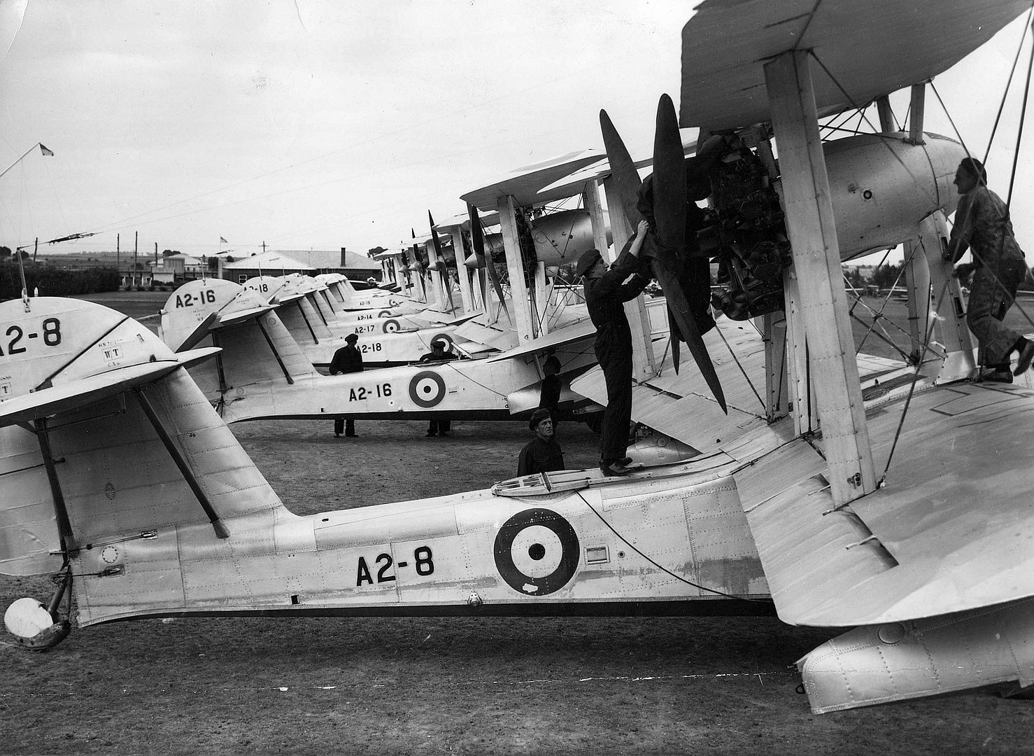 Supermarine Walrus RAAF Supermarine Walrus RAAF