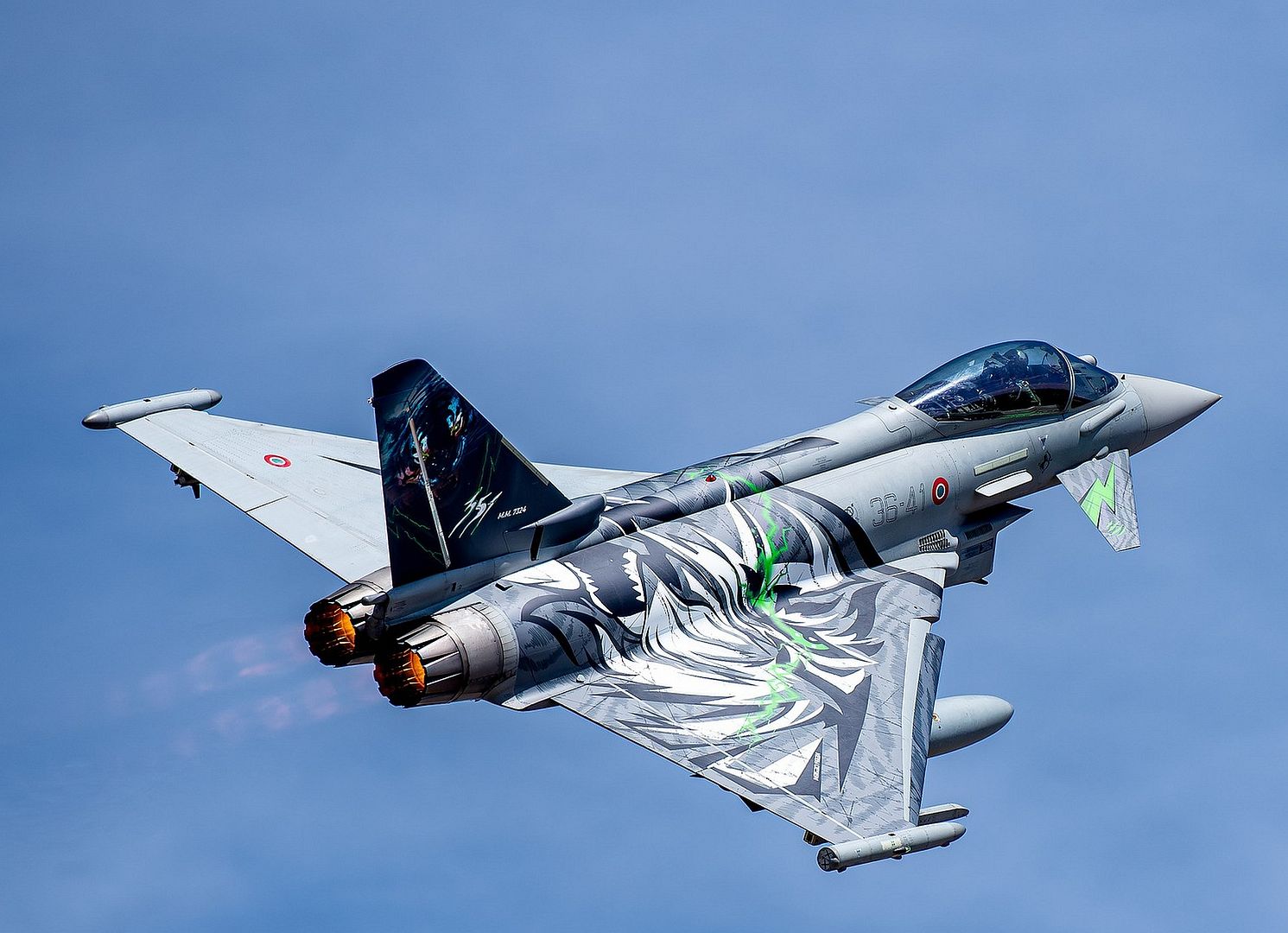 Tiger Meet 2024 Tiger Meet 2024