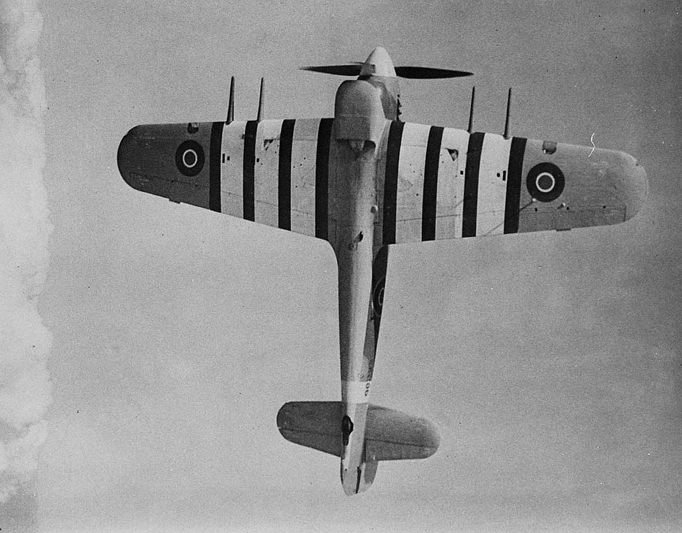 Typhoon ID Stripes 43 Typhoon ID Stripes 43