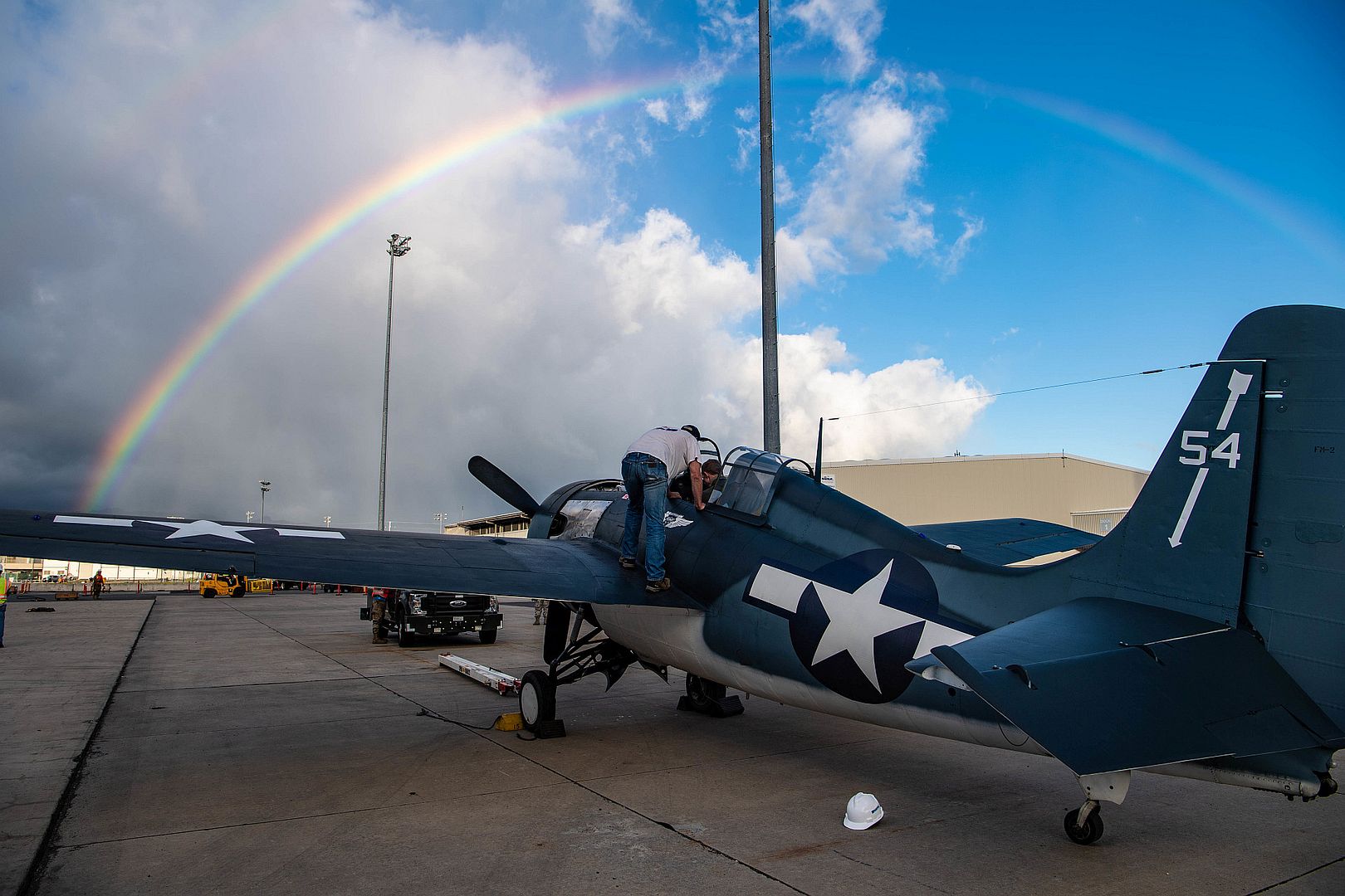 Wildcat Hawai