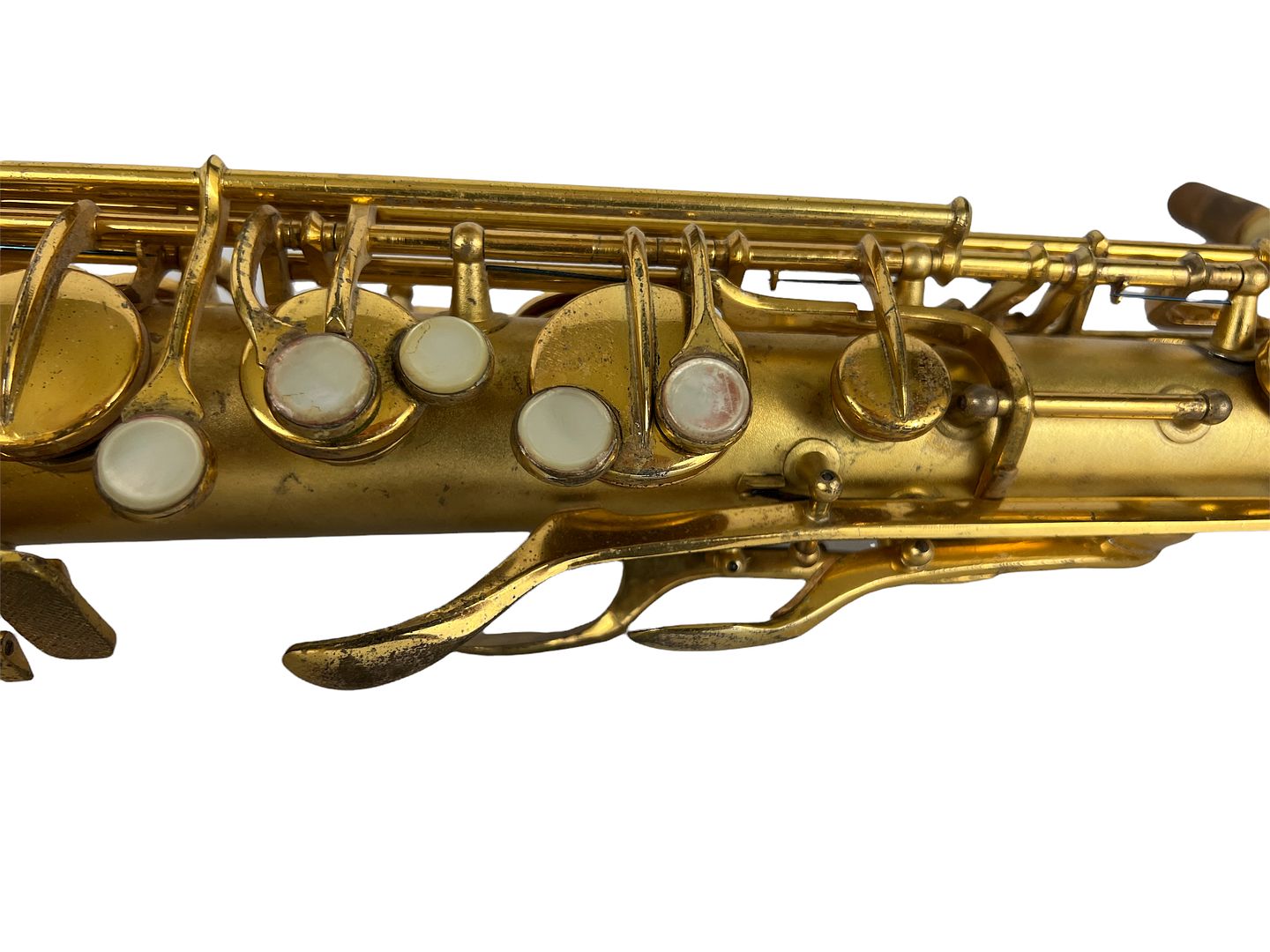 PhotoRoom_090_20220805_190103