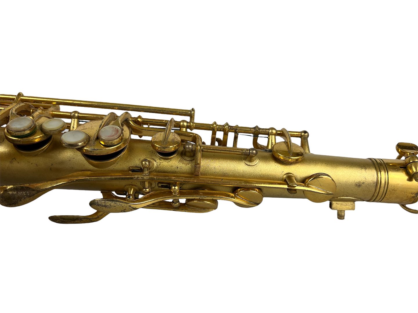 PhotoRoom_091_20220805_190103