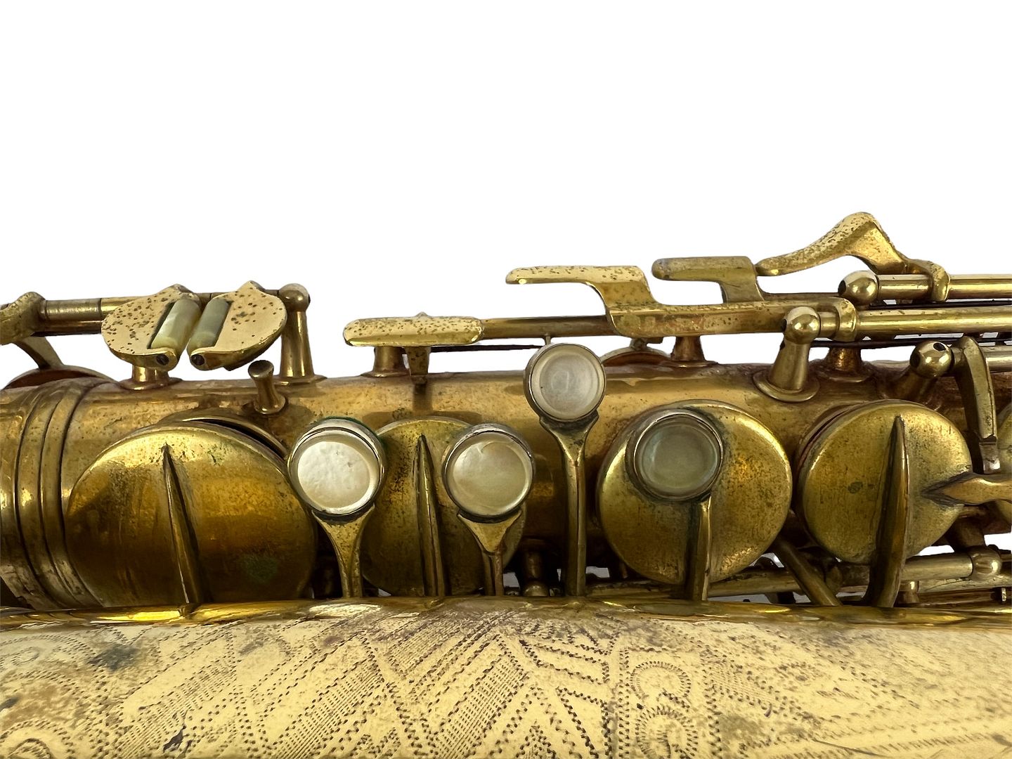 PhotoRoom_102_20220614_205509