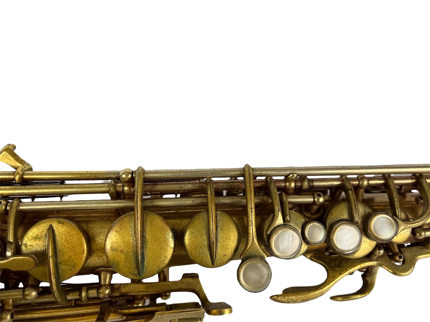 PhotoRoom_105_20220614_205509