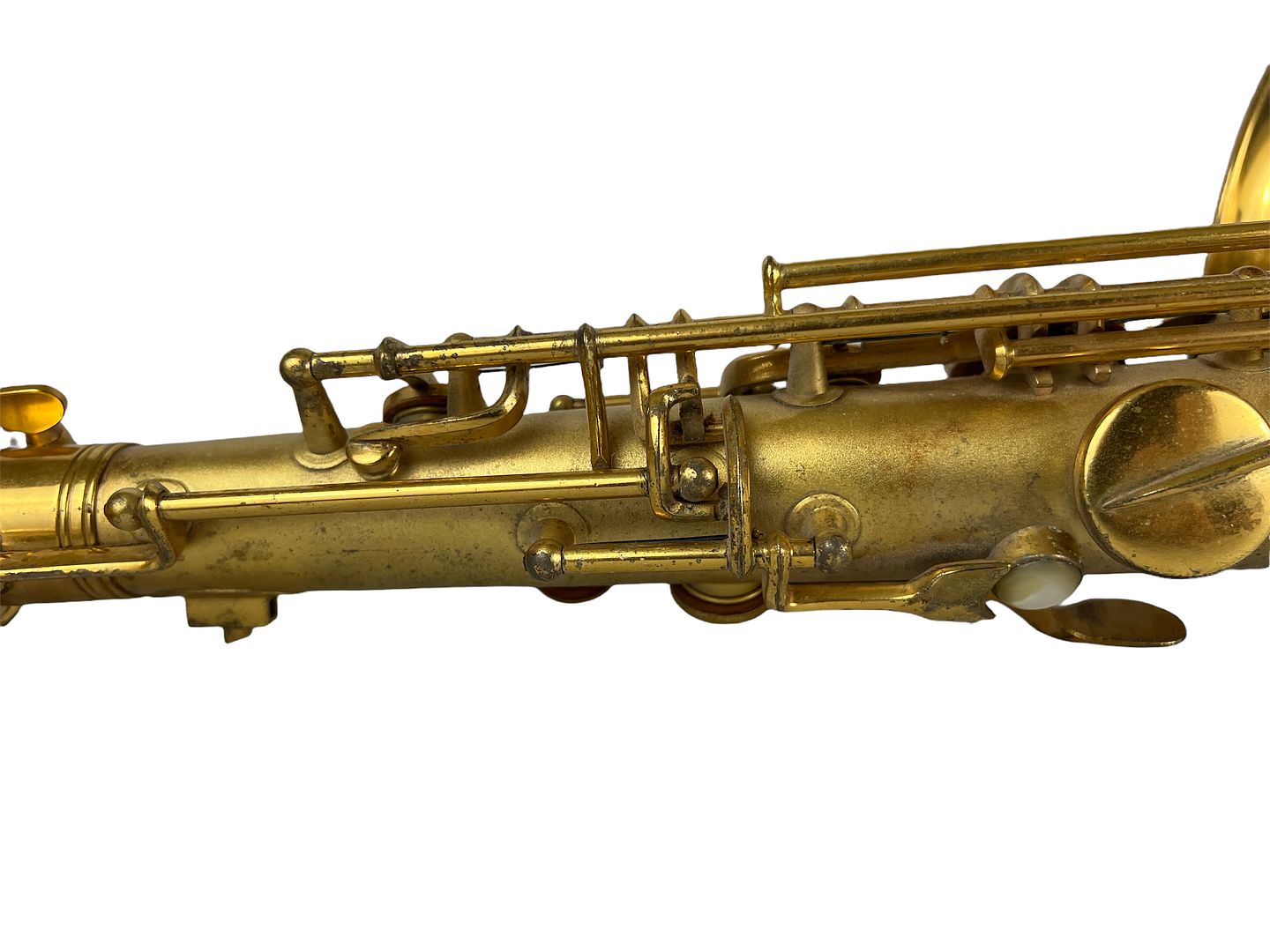 PhotoRoom_105_20220805_190104