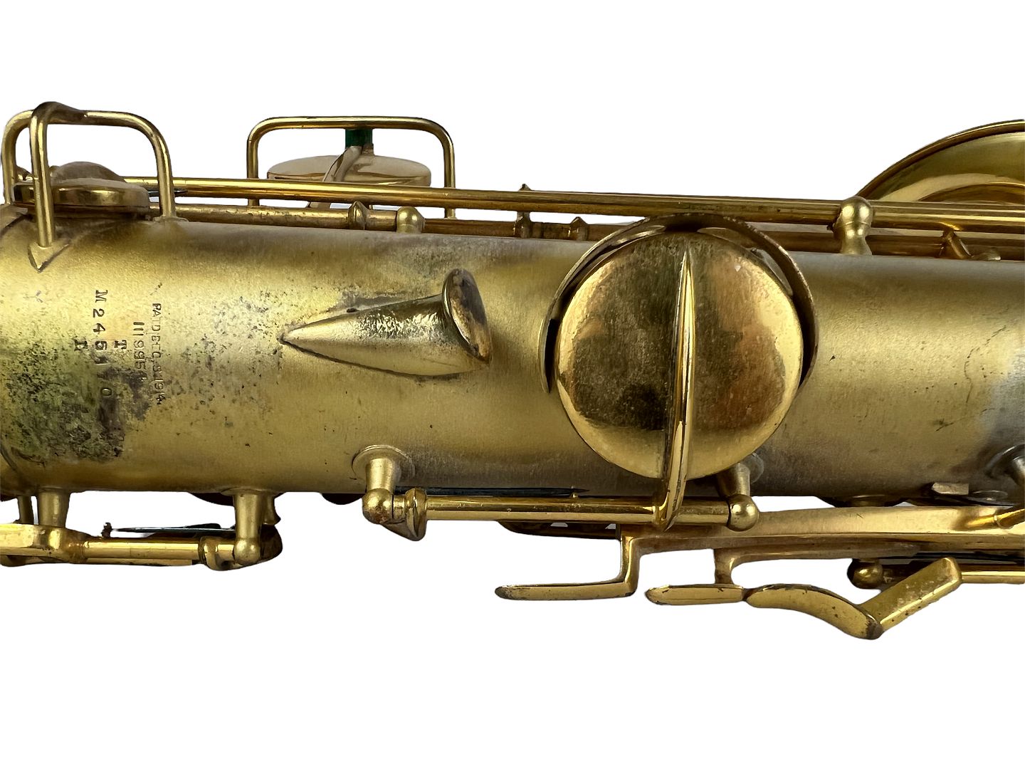 PhotoRoom_169_20220805_190104