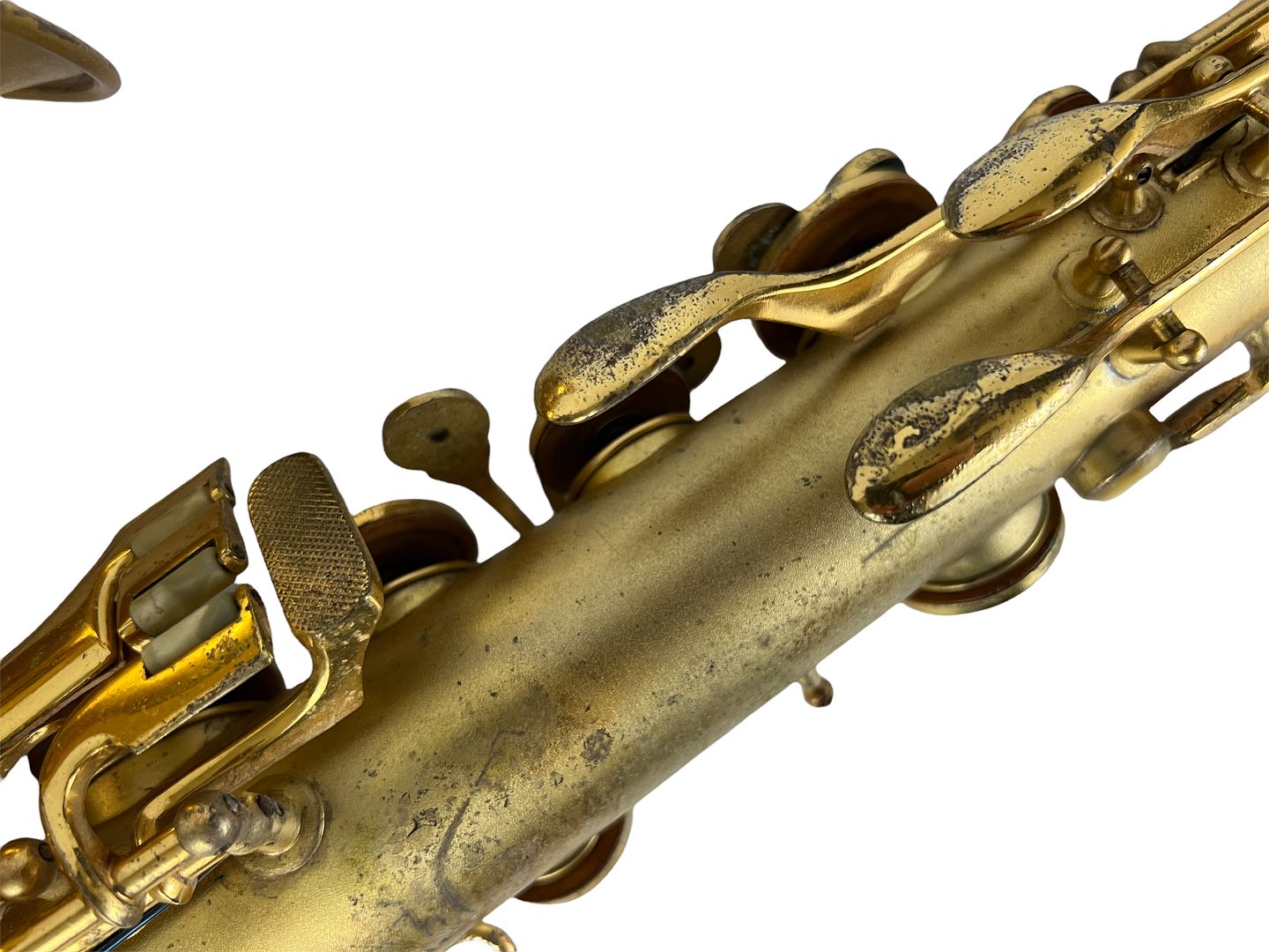 PhotoRoom_175_20220805_190104