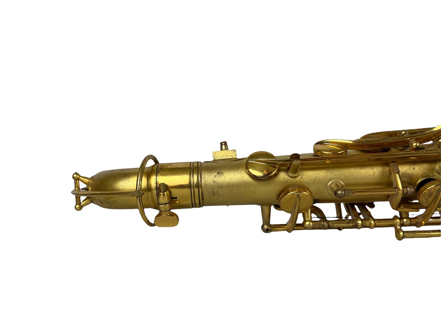 PhotoRoom_186_20220805_190105