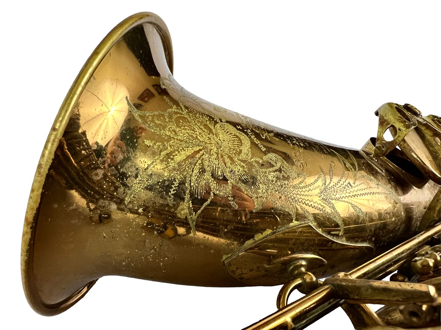 PhotoRoom_186_20221003_214754