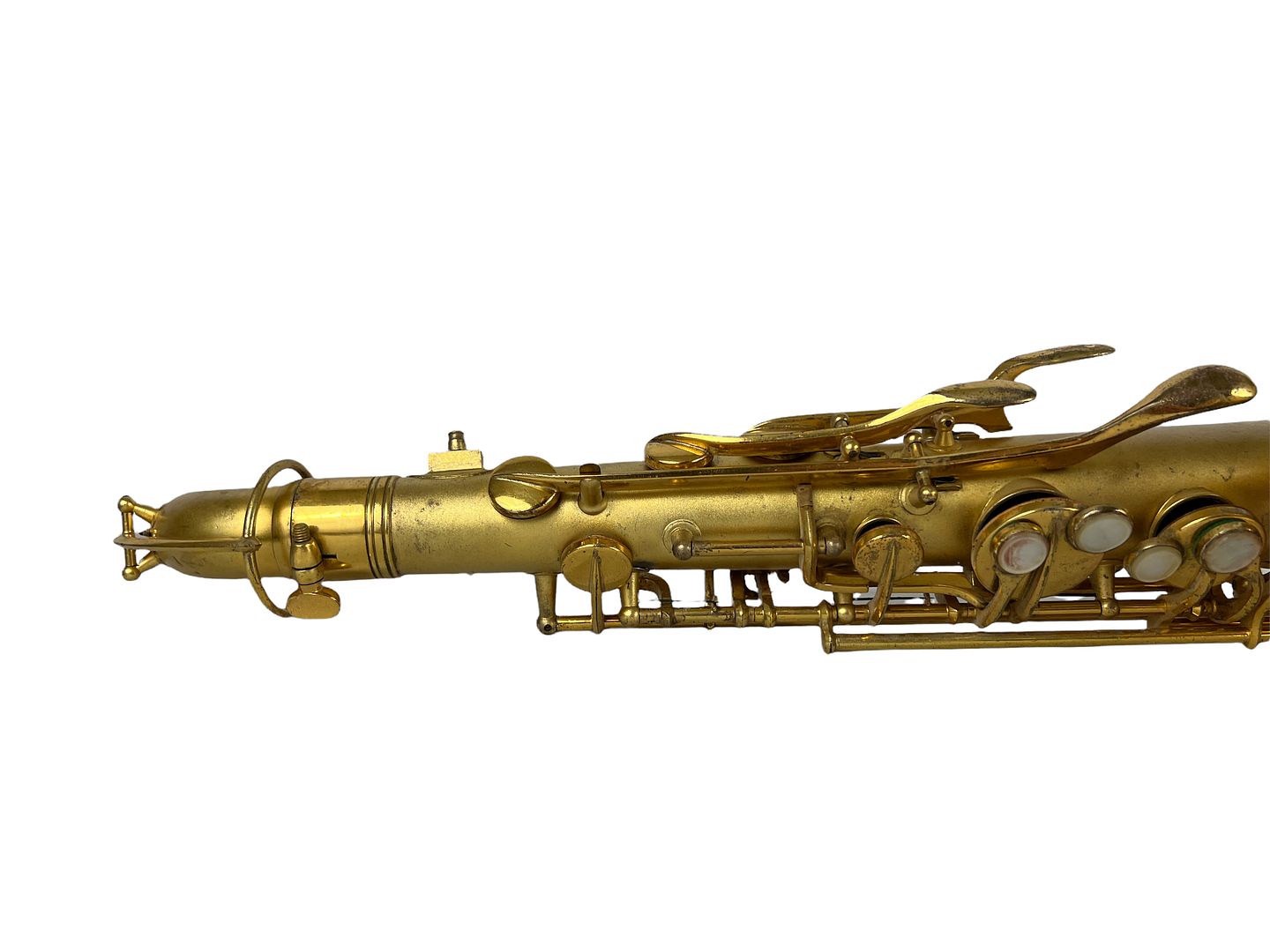 PhotoRoom_187_20220805_190105