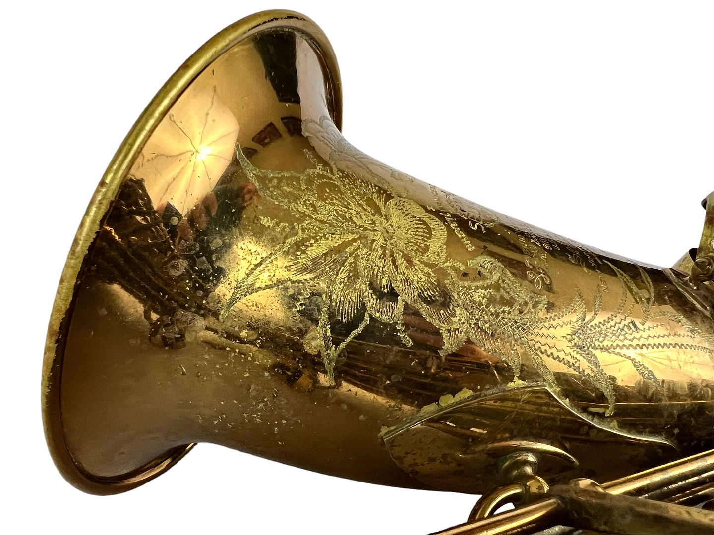 PhotoRoom_188_20221003_214754